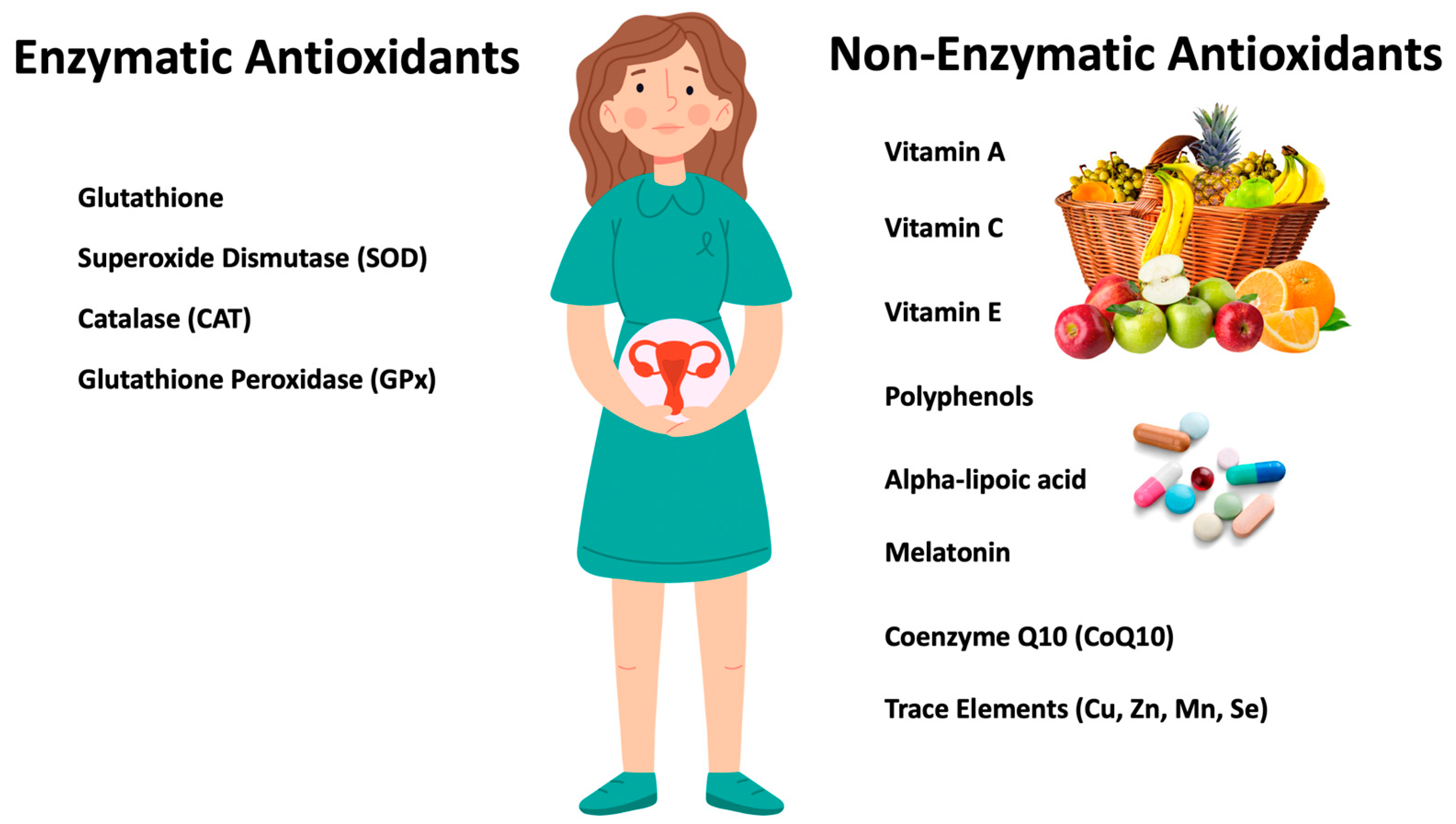 Antioxidants 12 01490 g002 Antioxidants 12 01490 g002