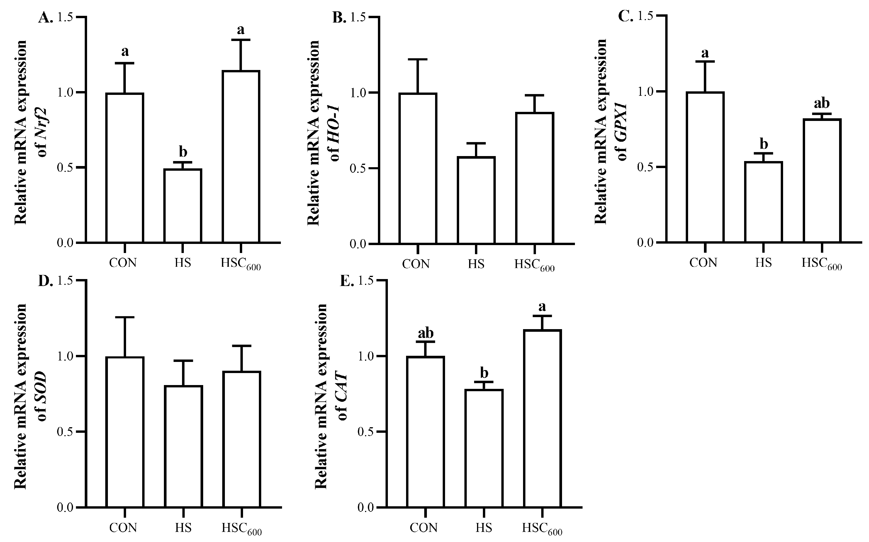 Antioxidants 12 01497 g003