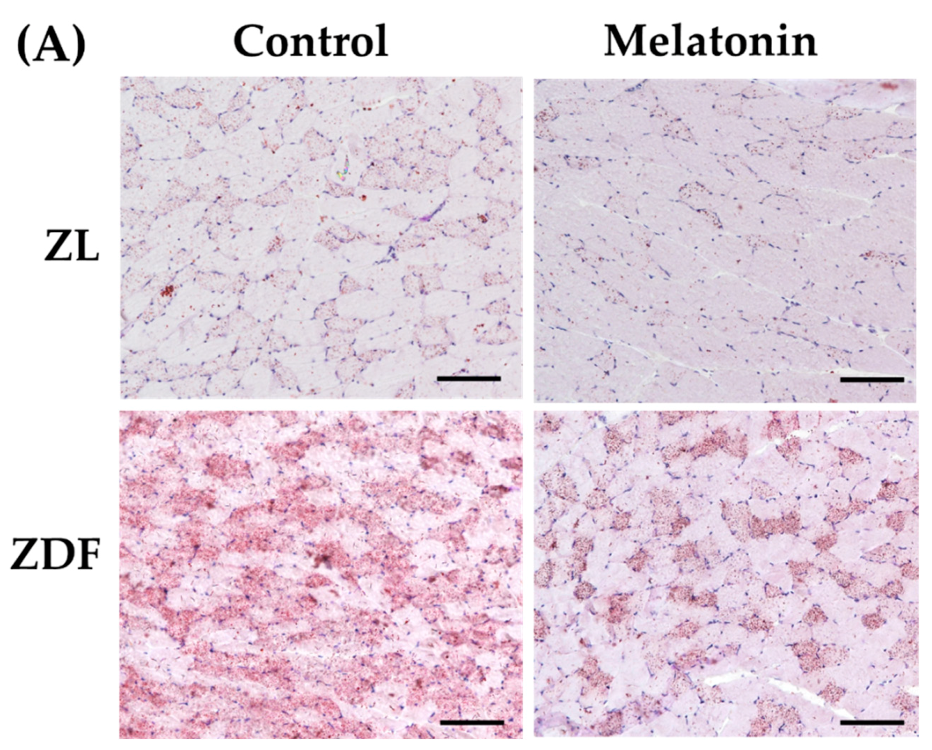 Antioxidants 12 01499 g008a