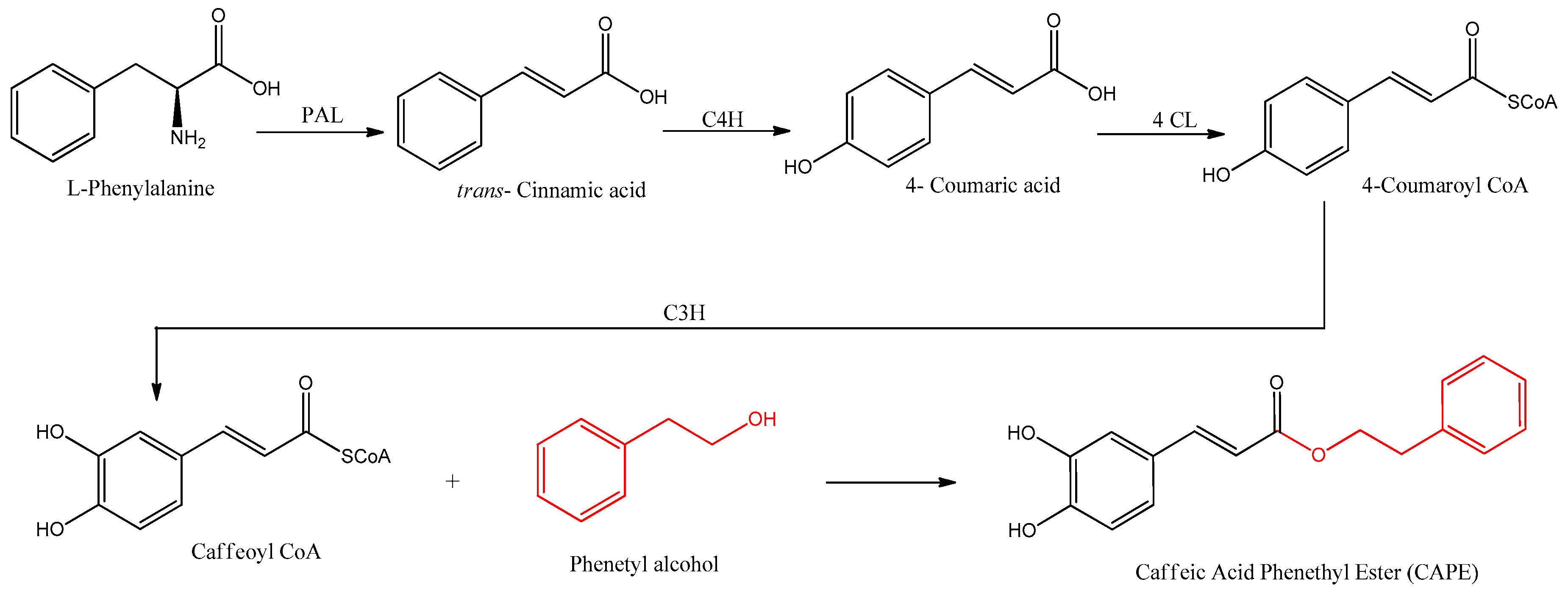 Antioxidants 12 01500 g002
