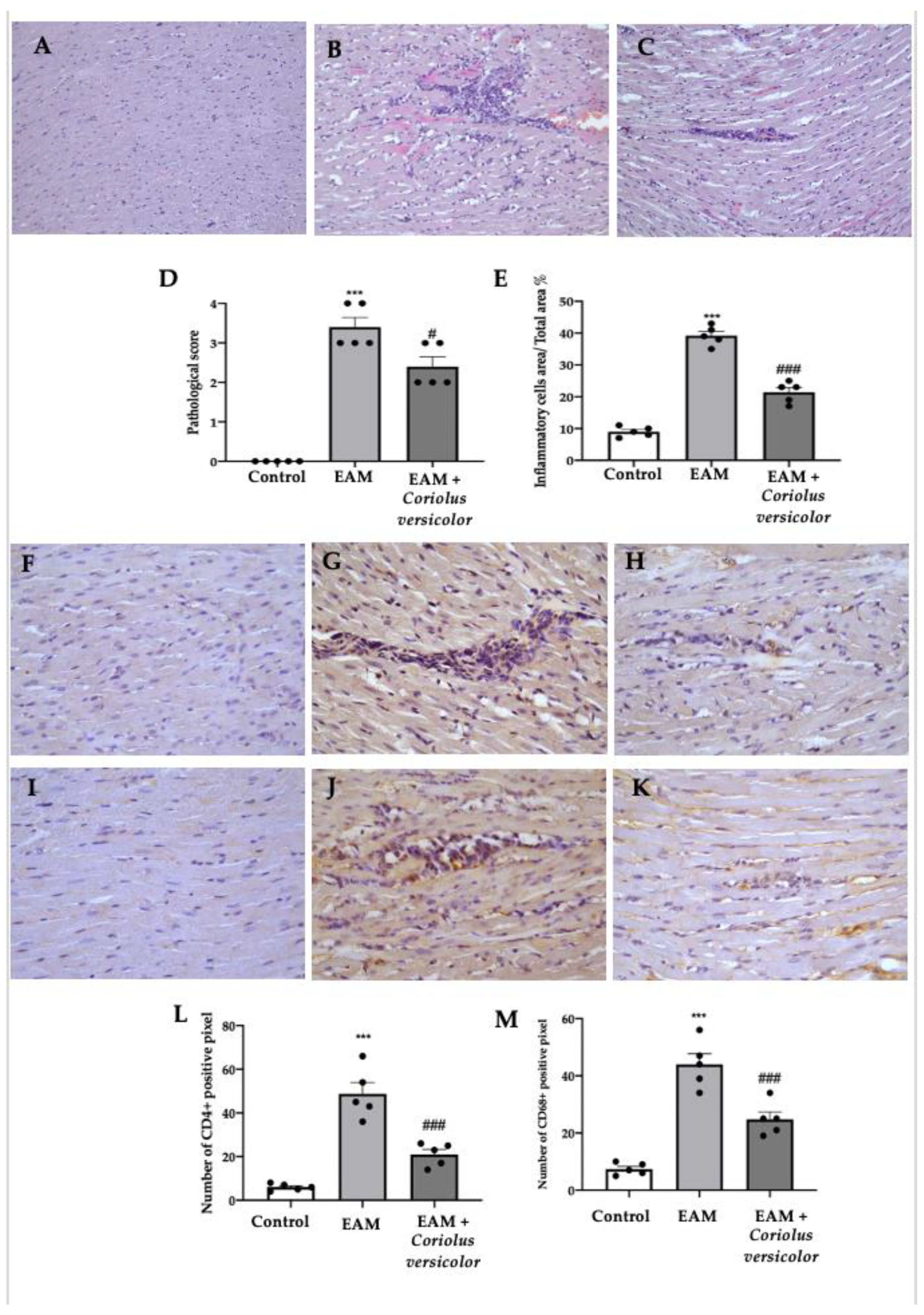 Antioxidants 12 01507 g002 Antioxidants 12 01507 g002