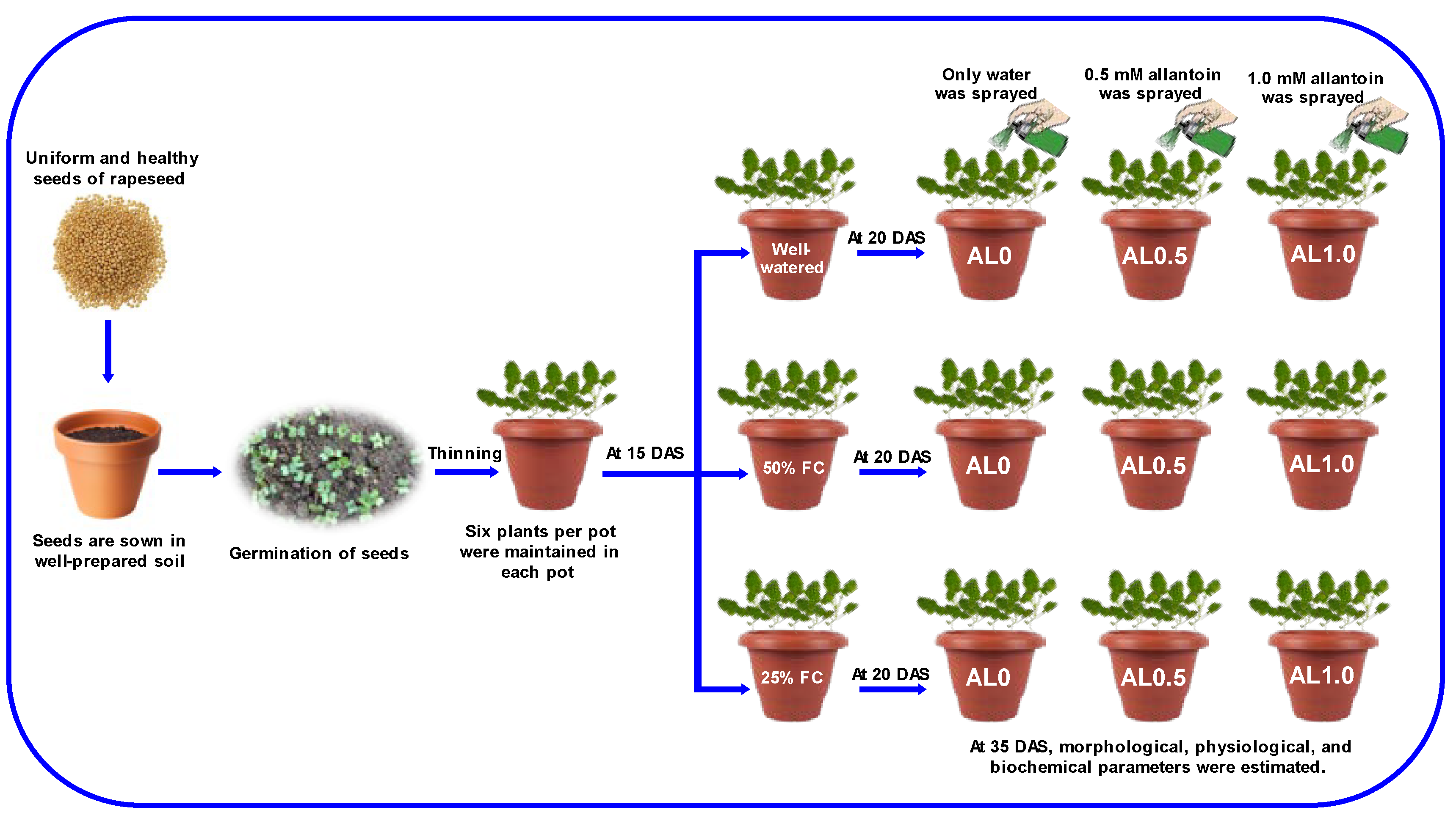 Antioxidants 12 01508 g001 Antioxidants 12 01508 g001