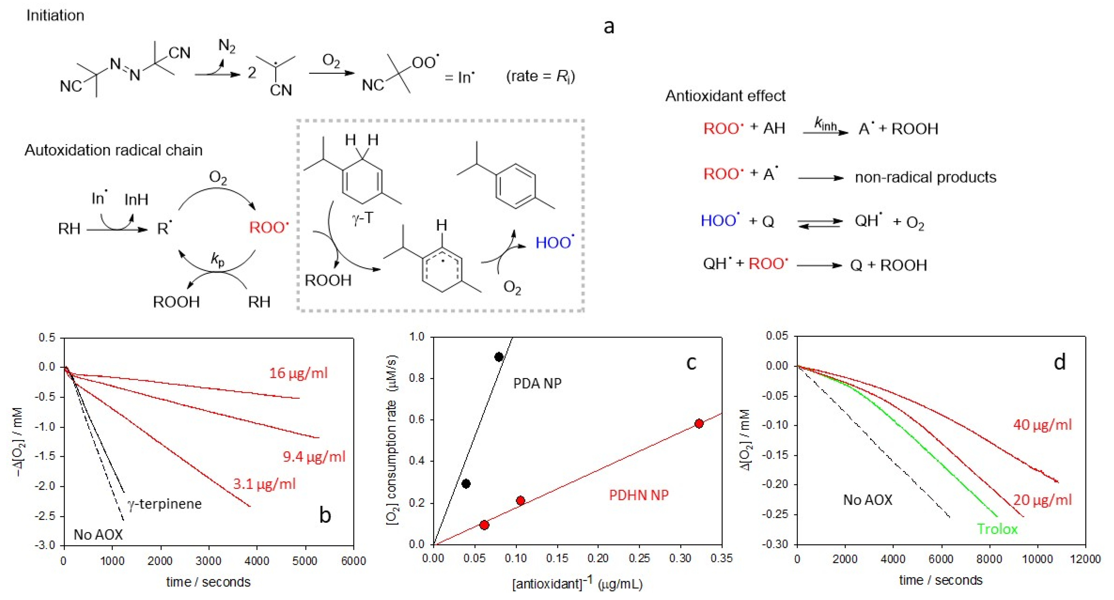 Antioxidants 12 01511 g004