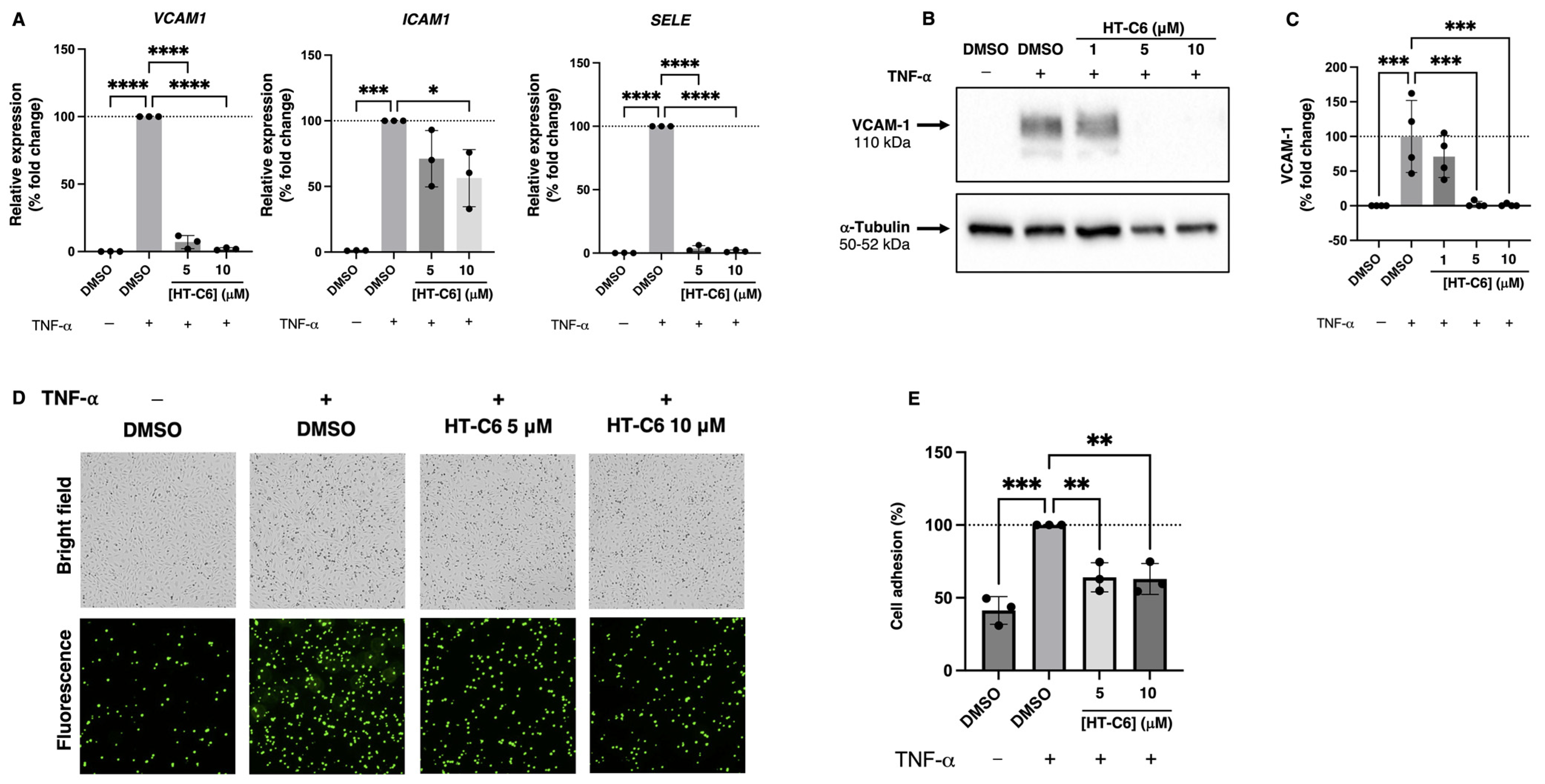 Antioxidants 12 01513 g003