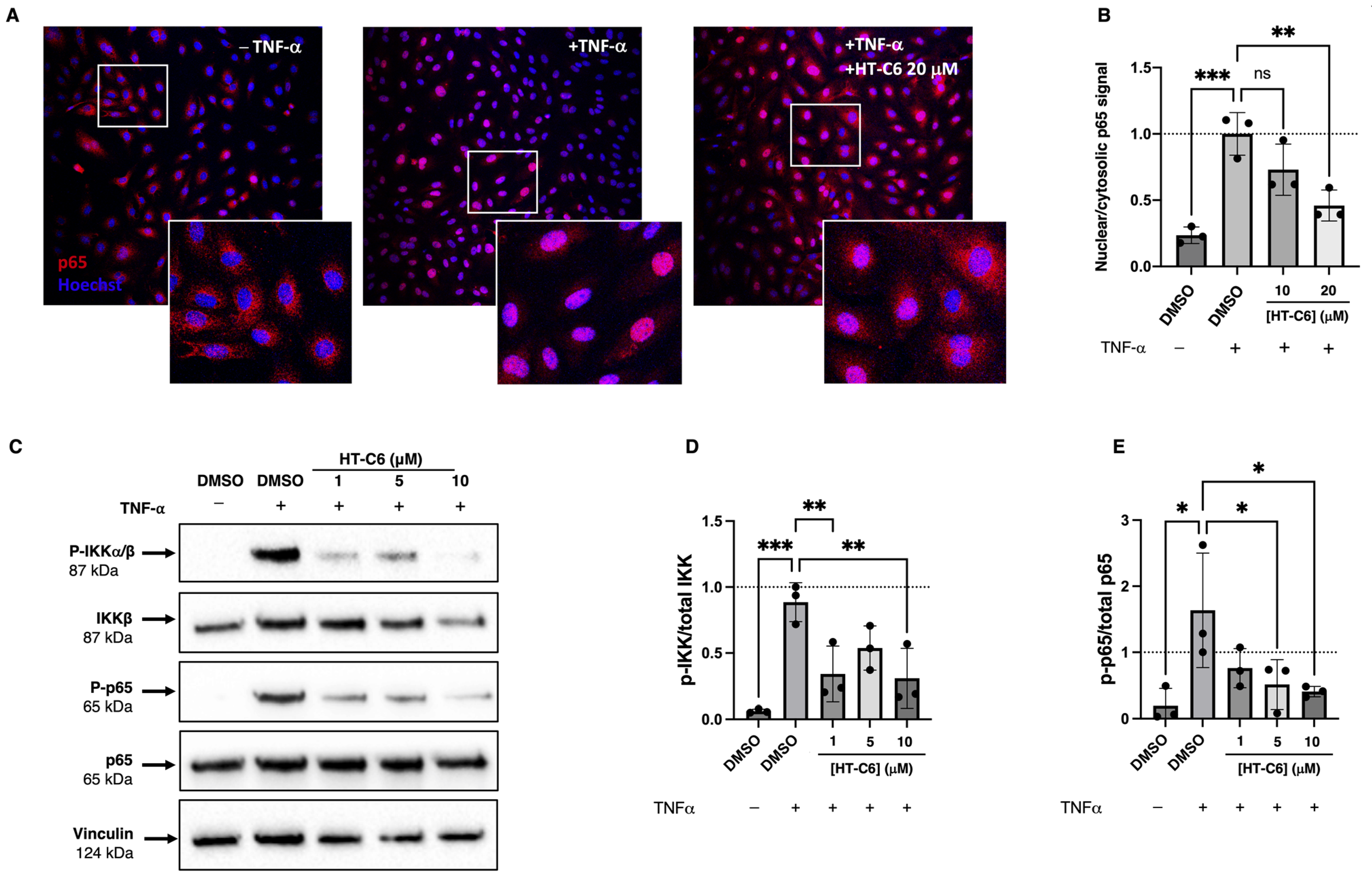 Antioxidants 12 01513 g005