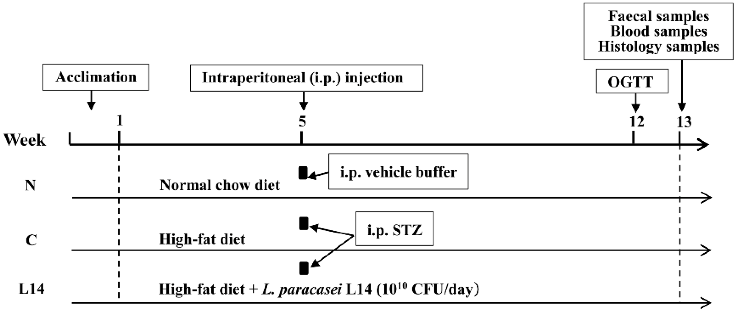 Antioxidants 12 01515 g001 Antioxidants 12 01515 g001
