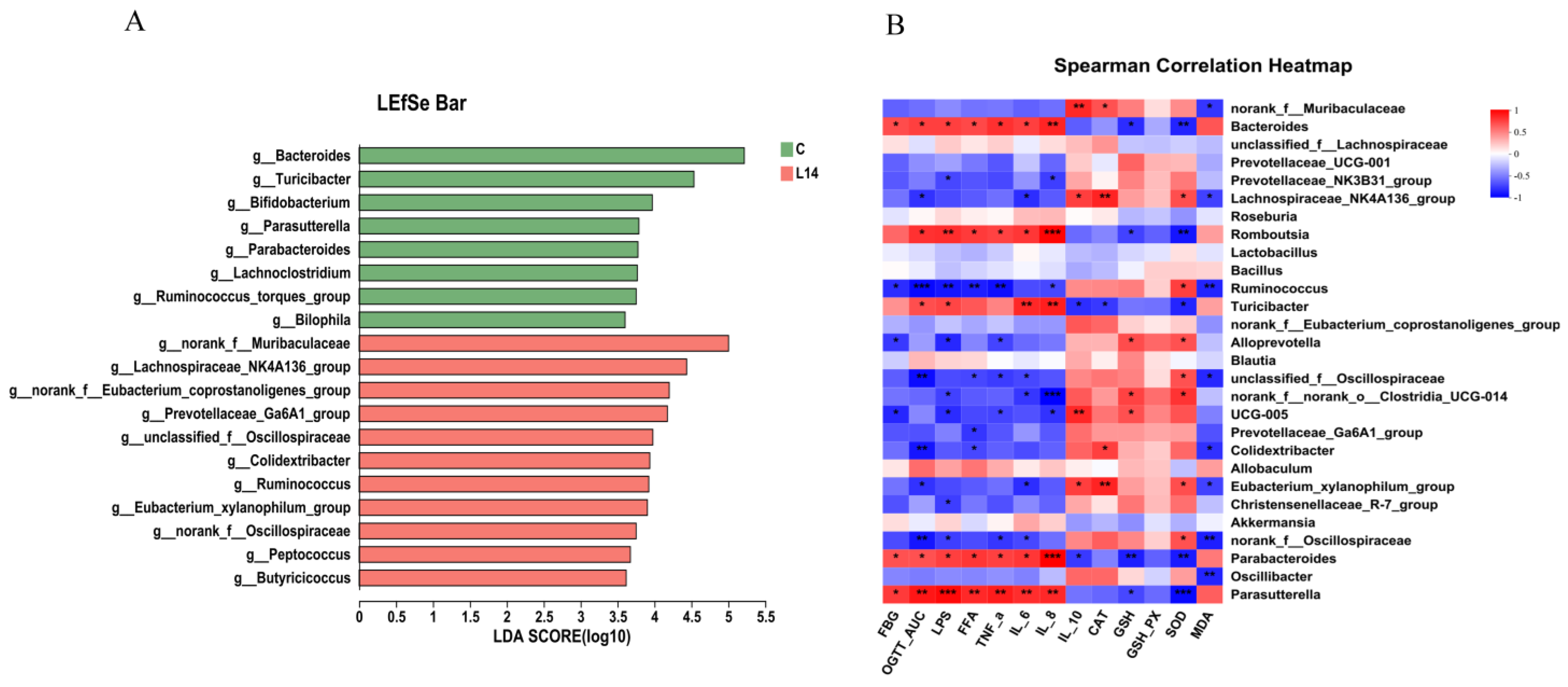 Antioxidants 12 01515 g006 Antioxidants 12 01515 g006
