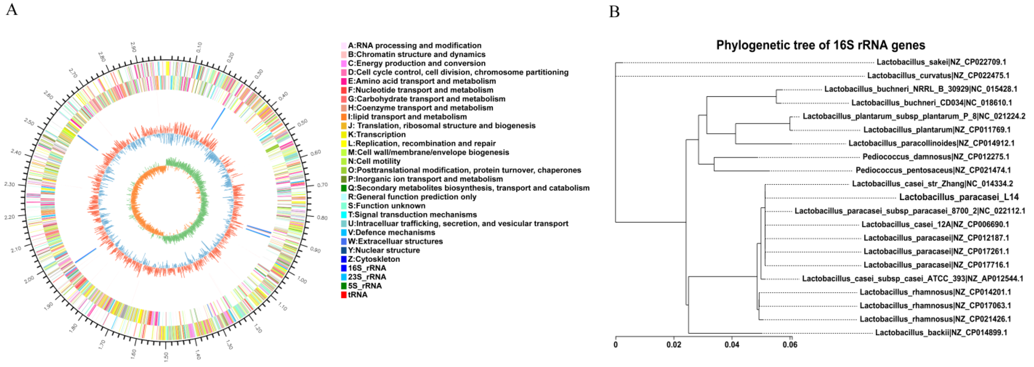 Antioxidants 12 01515 g007 Antioxidants 12 01515 g007