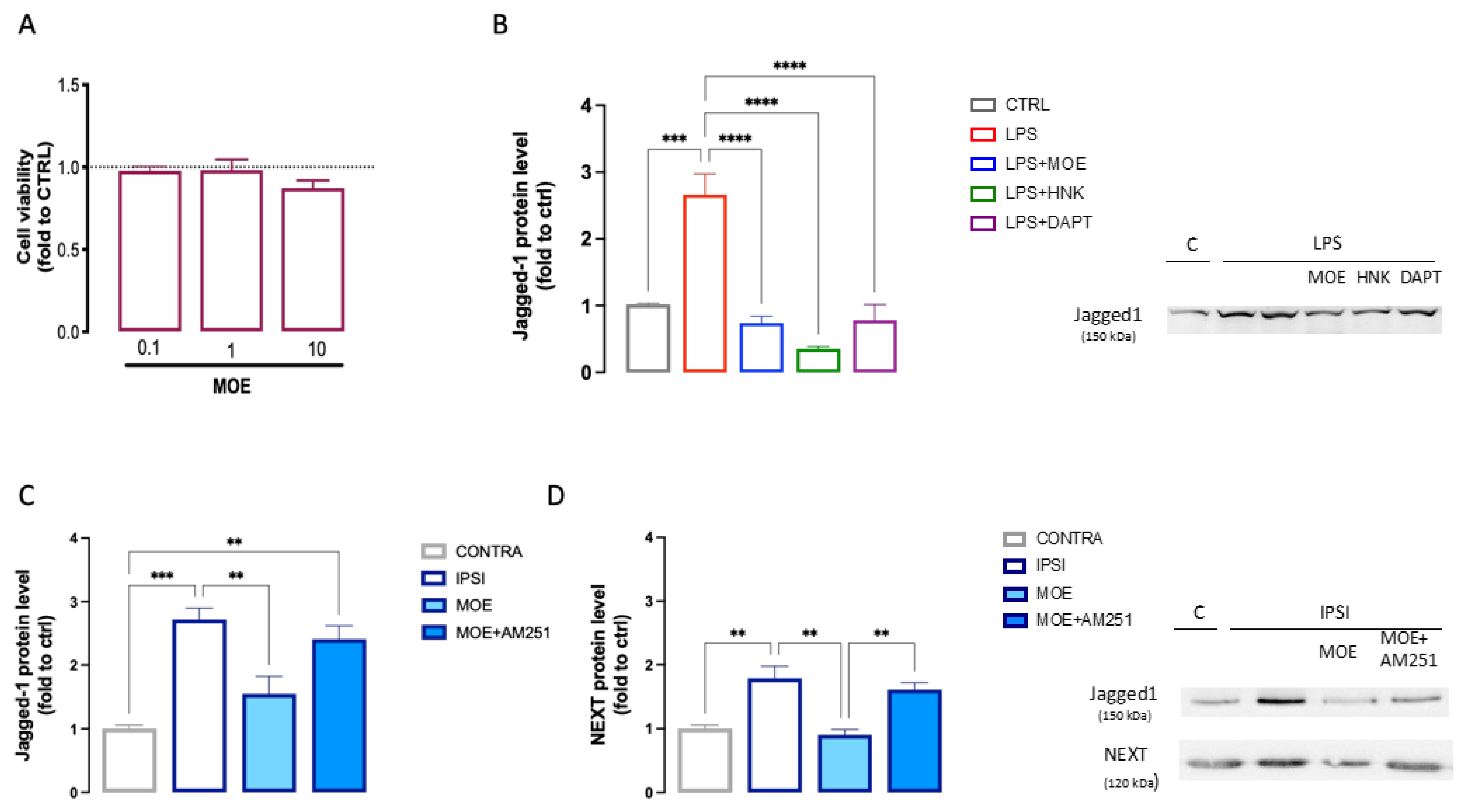 Antioxidants 12 01518 g007