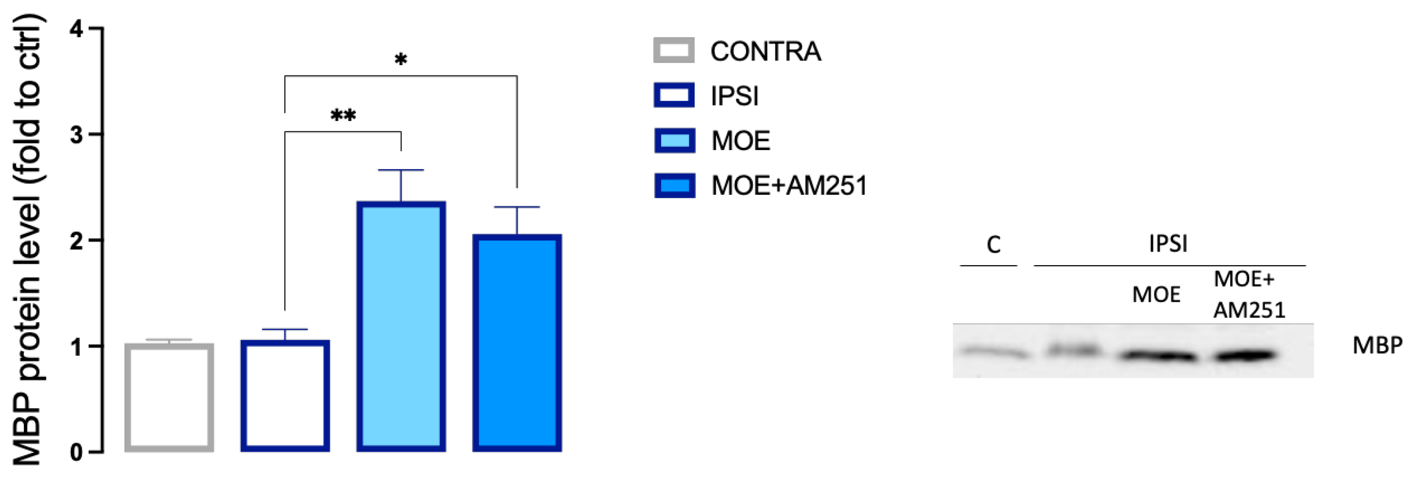 Antioxidants 12 01518 g009