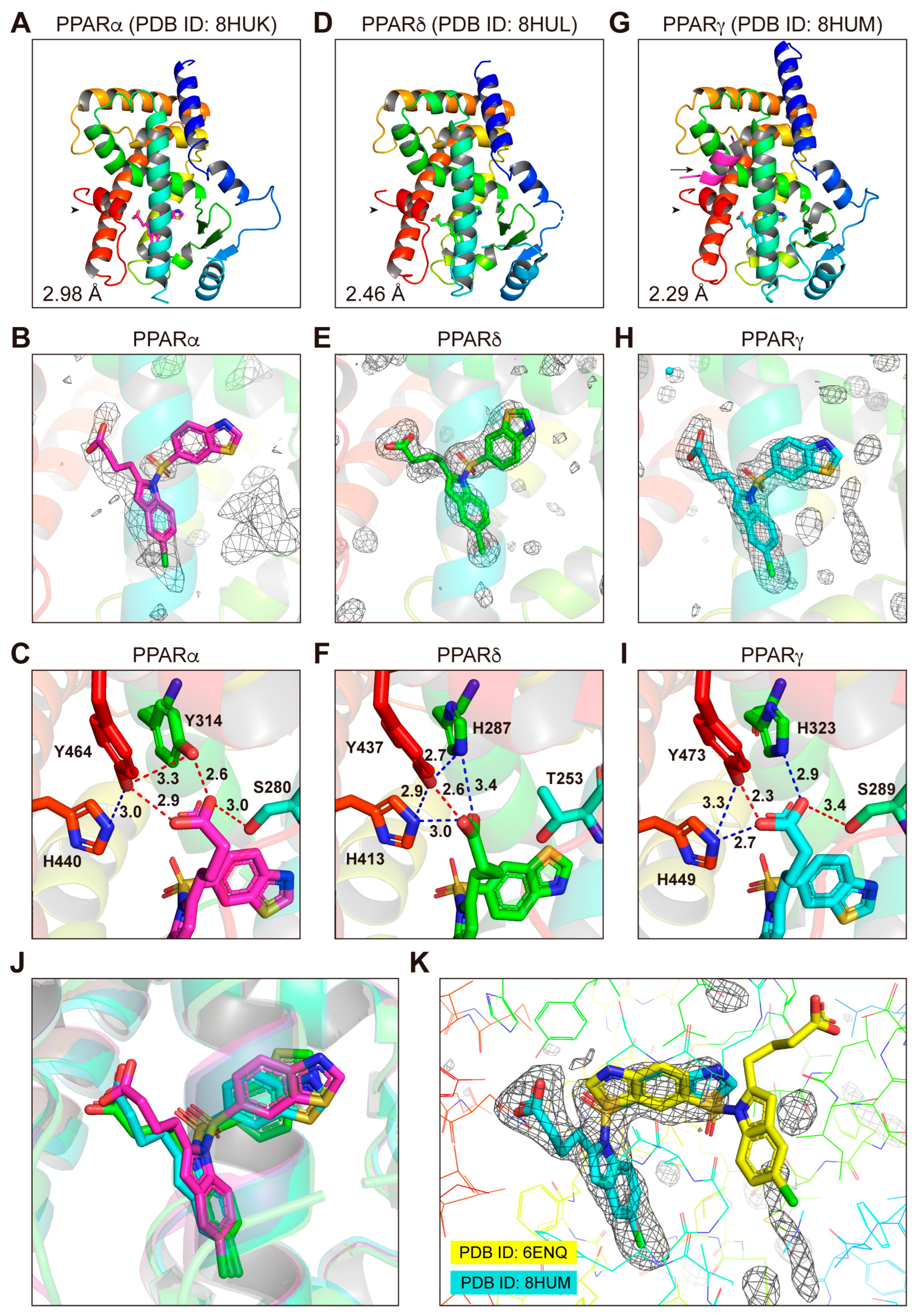 Antioxidants 12 01523 g004 Antioxidants 12 01523 g004