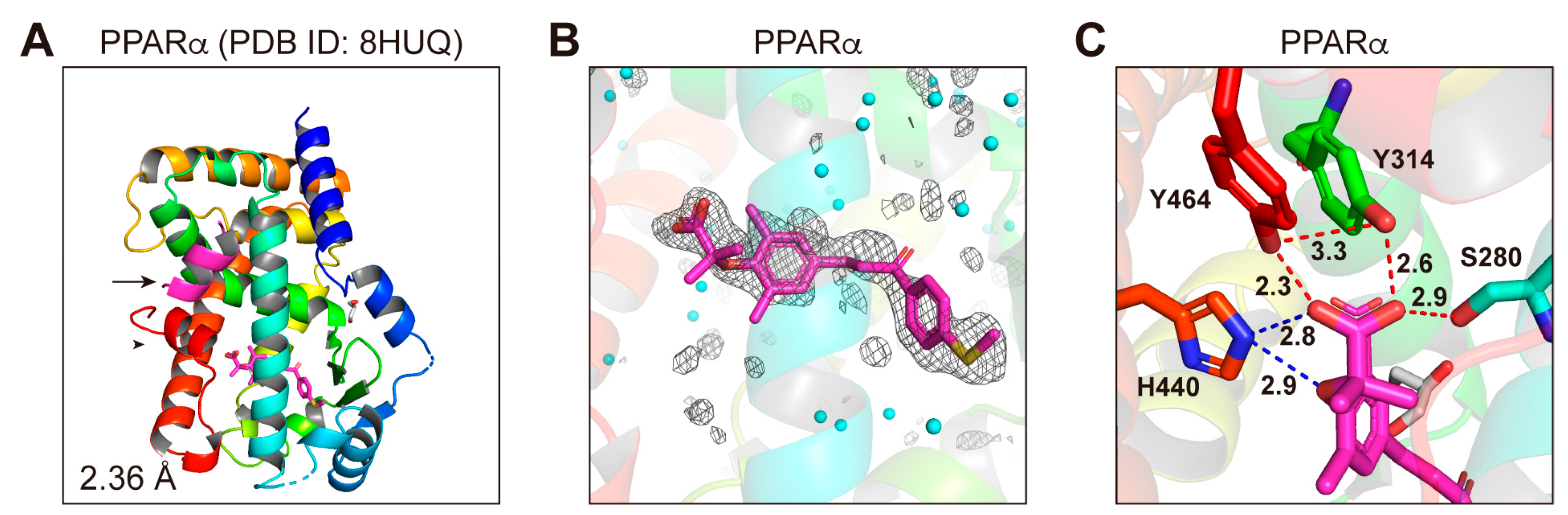 Antioxidants 12 01523 g006 Antioxidants 12 01523 g006