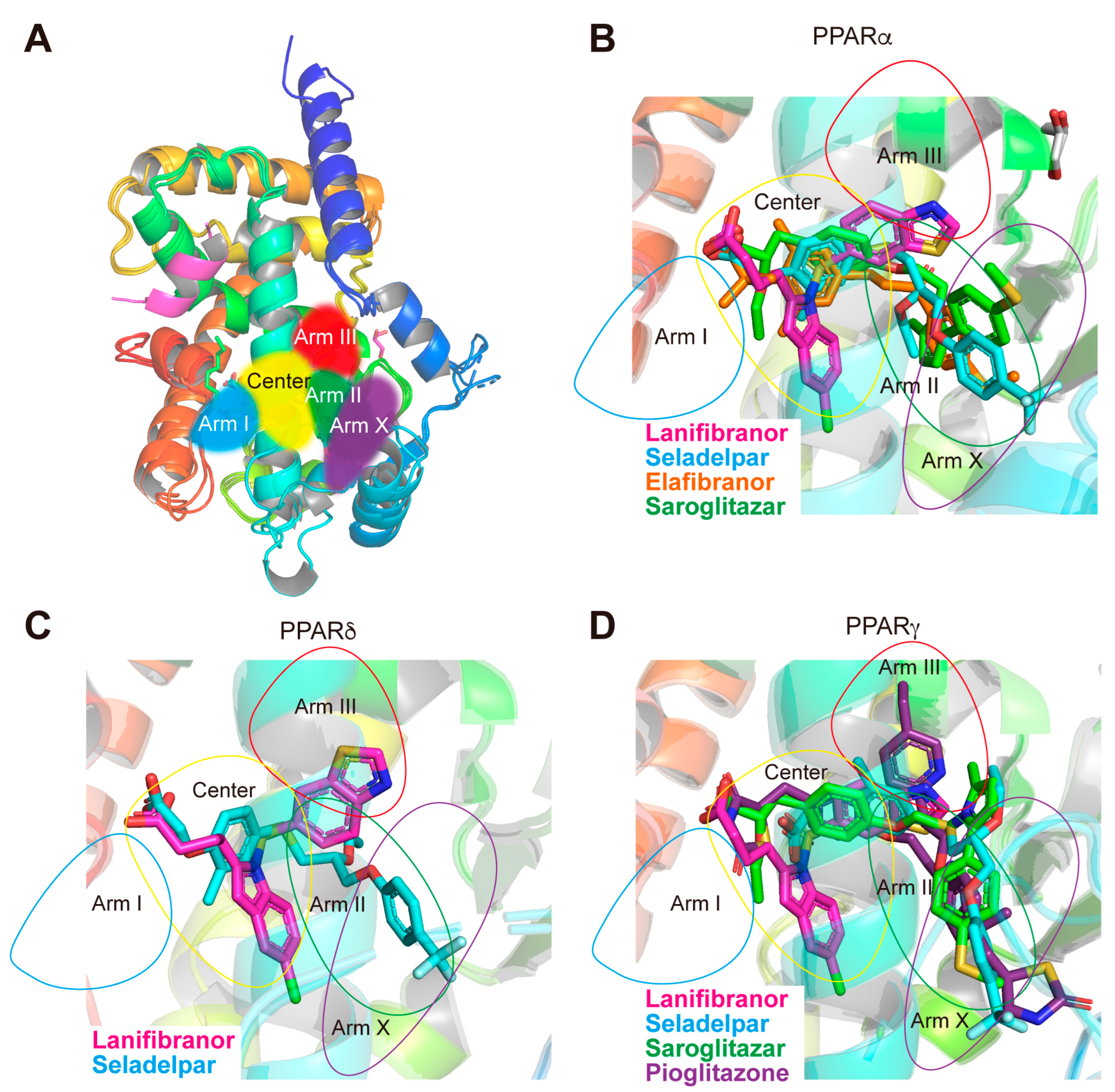 Antioxidants 12 01523 g007 Antioxidants 12 01523 g007