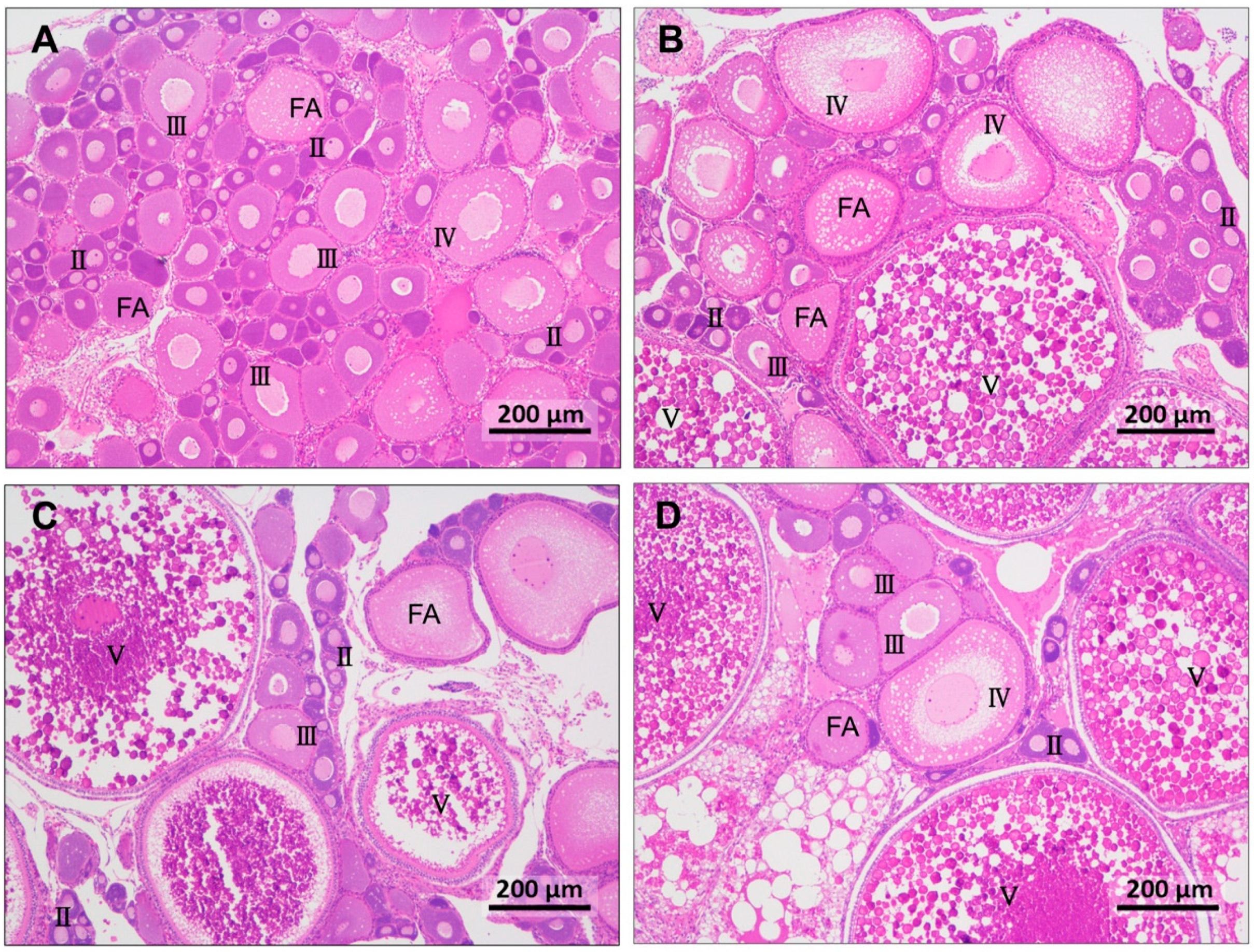 Antioxidants 12 01524 g002 Antioxidants 12 01524 g002