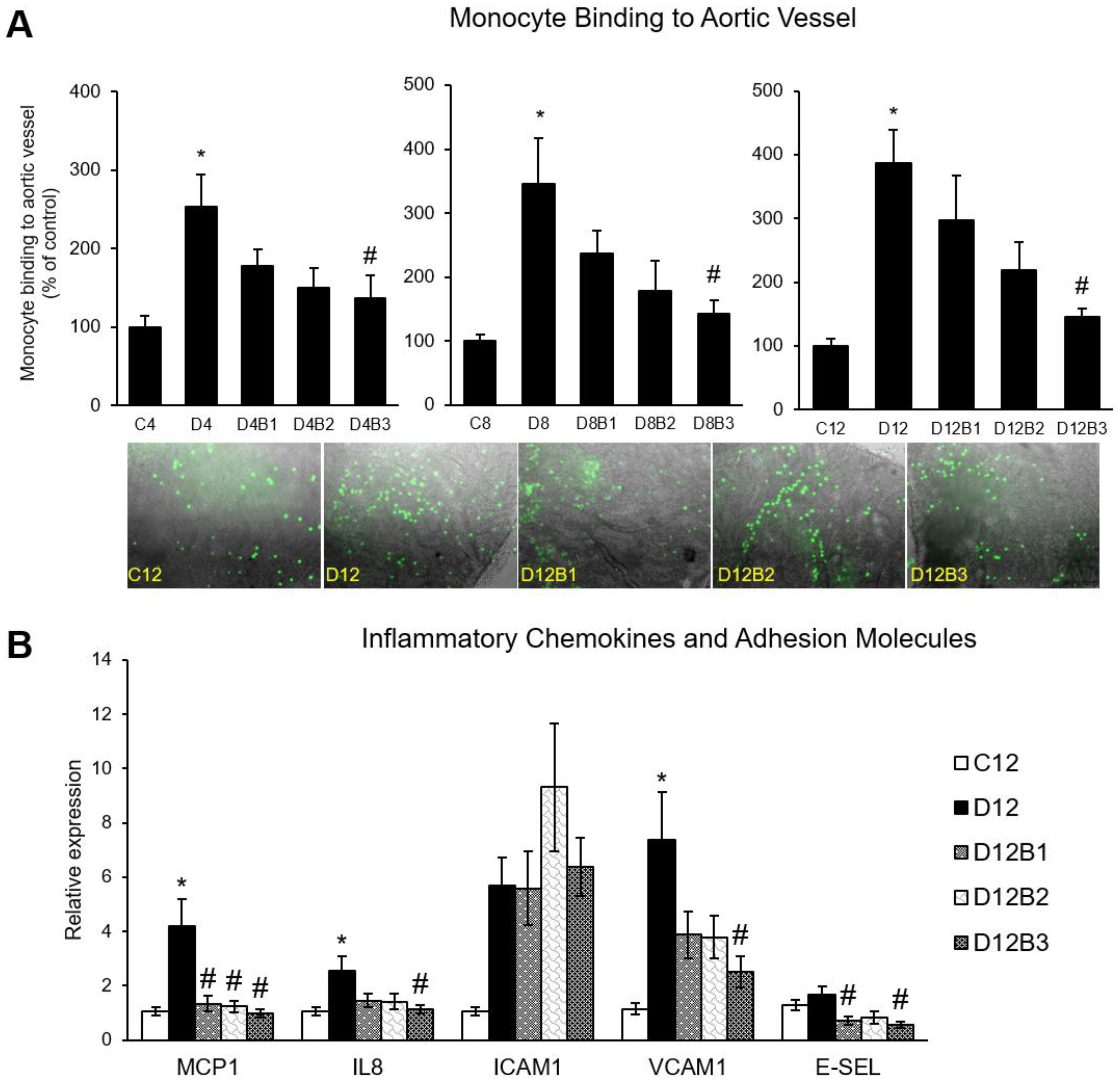 Antioxidants 12 01527 g002 Antioxidants 12 01527 g002