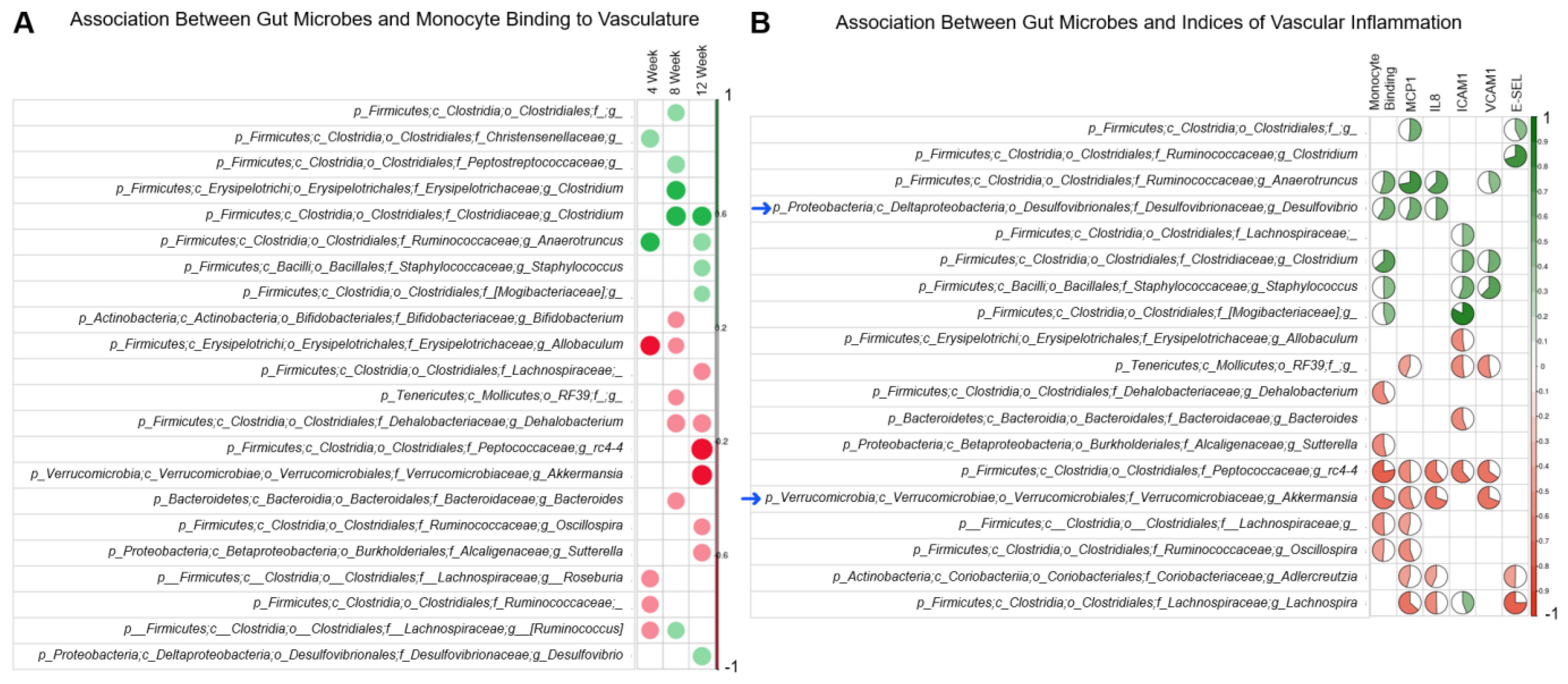 Antioxidants 12 01527 g006 Antioxidants 12 01527 g006