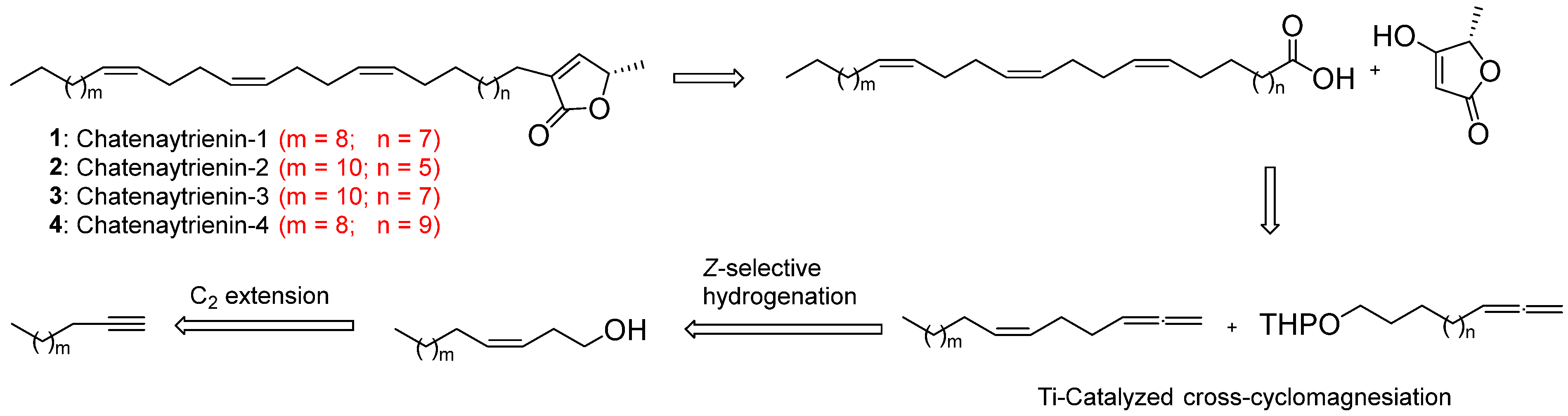 Antioxidants 12 01528 g001 Antioxidants 12 01528 g001