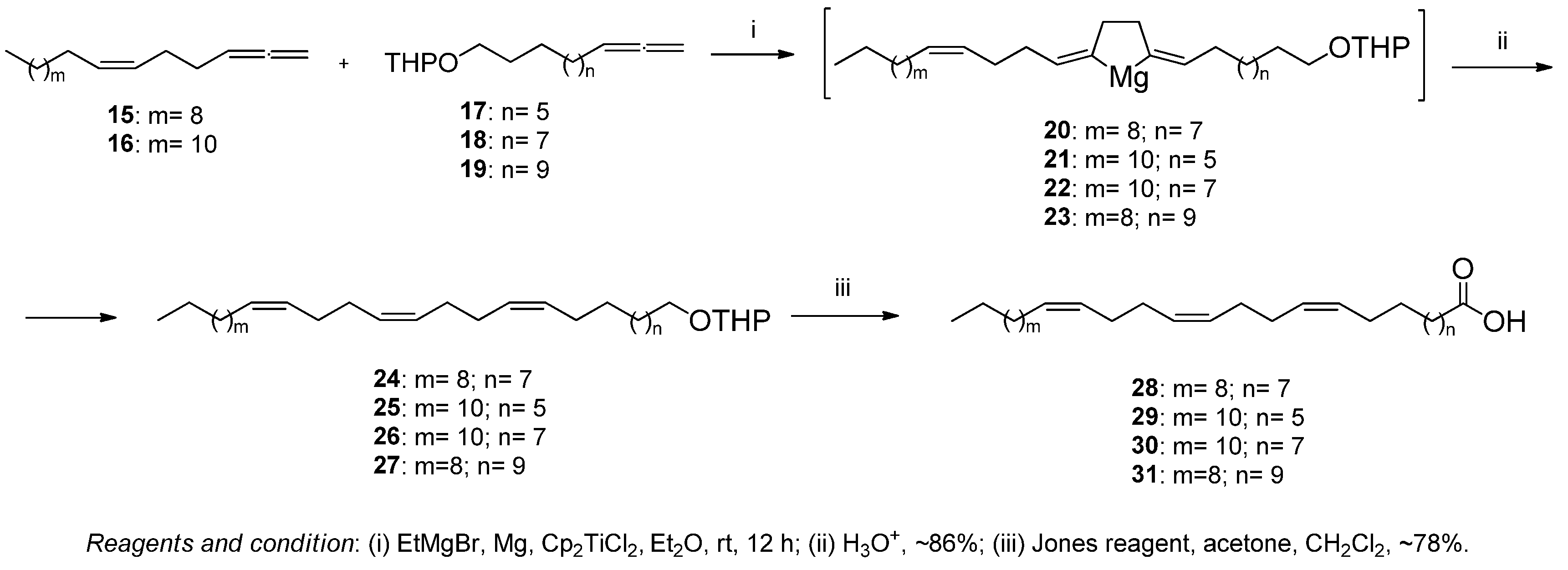 Antioxidants 12 01528 g003 Antioxidants 12 01528 g003
