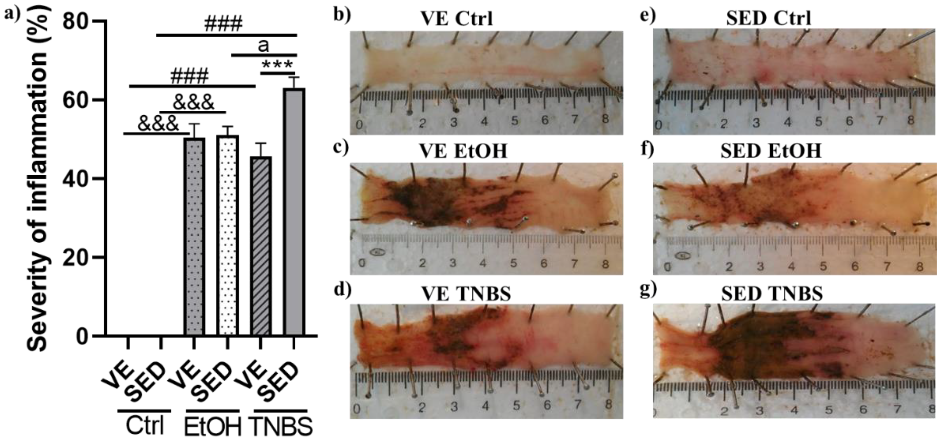 Antioxidants 12 01531 g002 Antioxidants 12 01531 g002