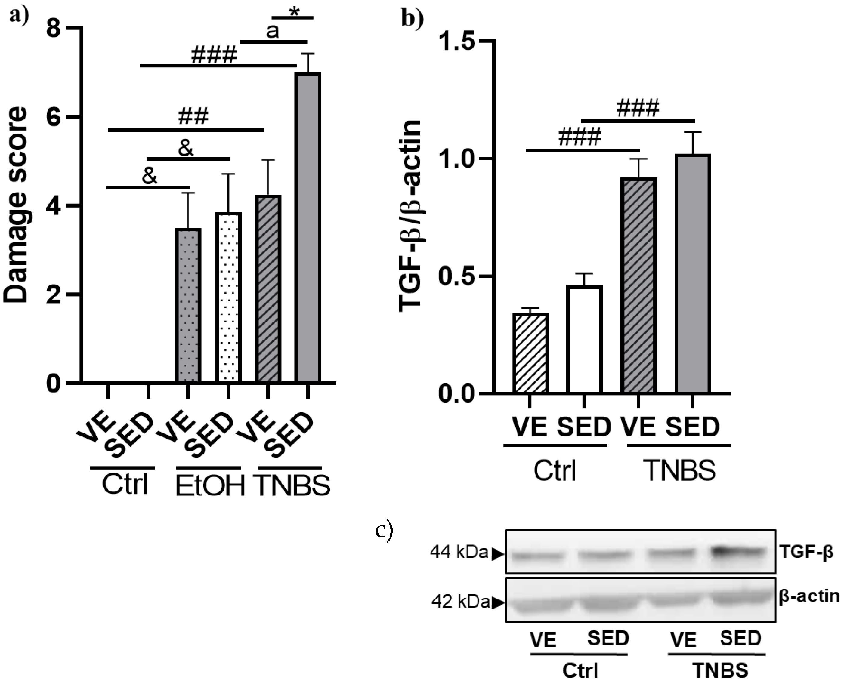 Antioxidants 12 01531 g003 Antioxidants 12 01531 g003