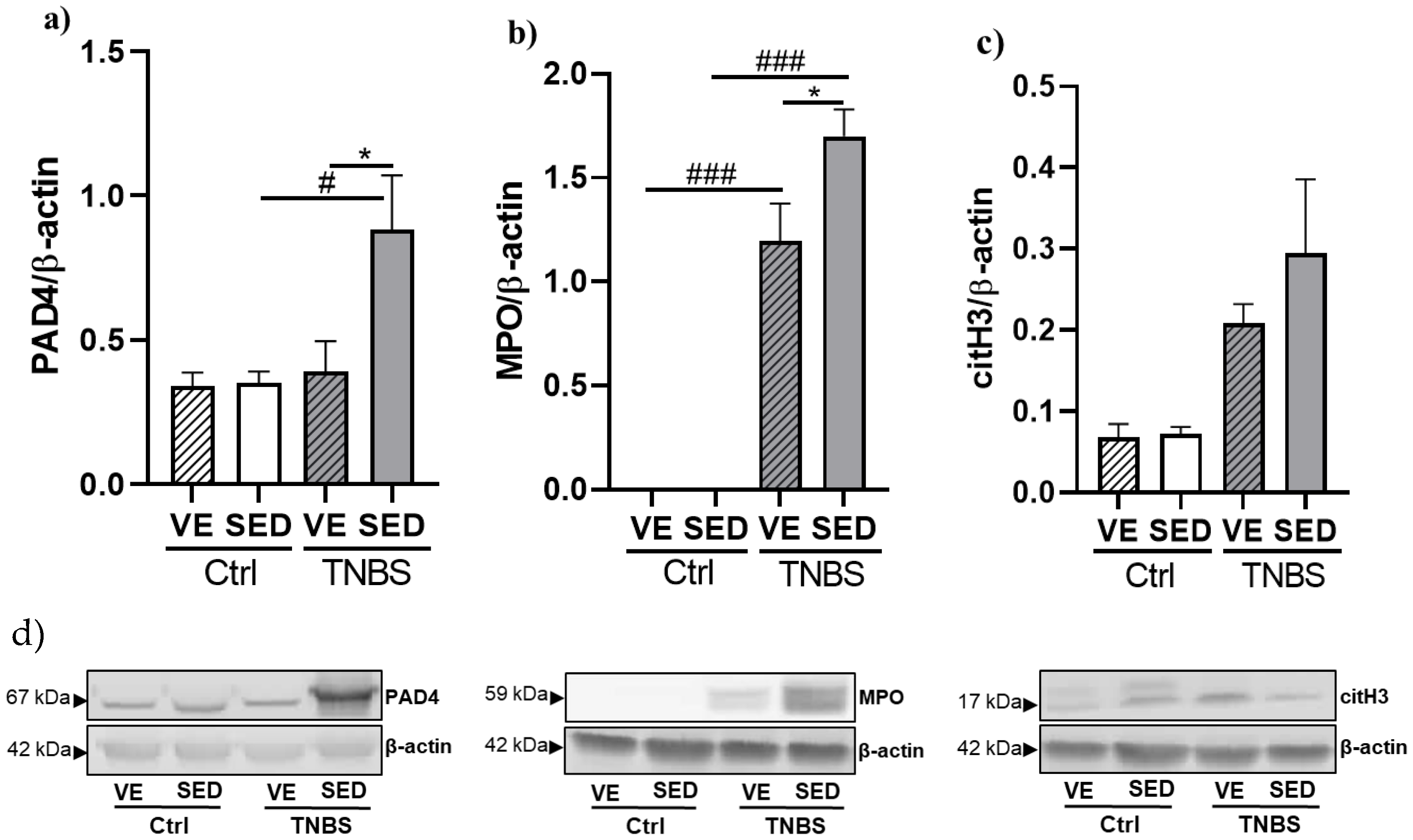 Antioxidants 12 01531 g004 Antioxidants 12 01531 g004