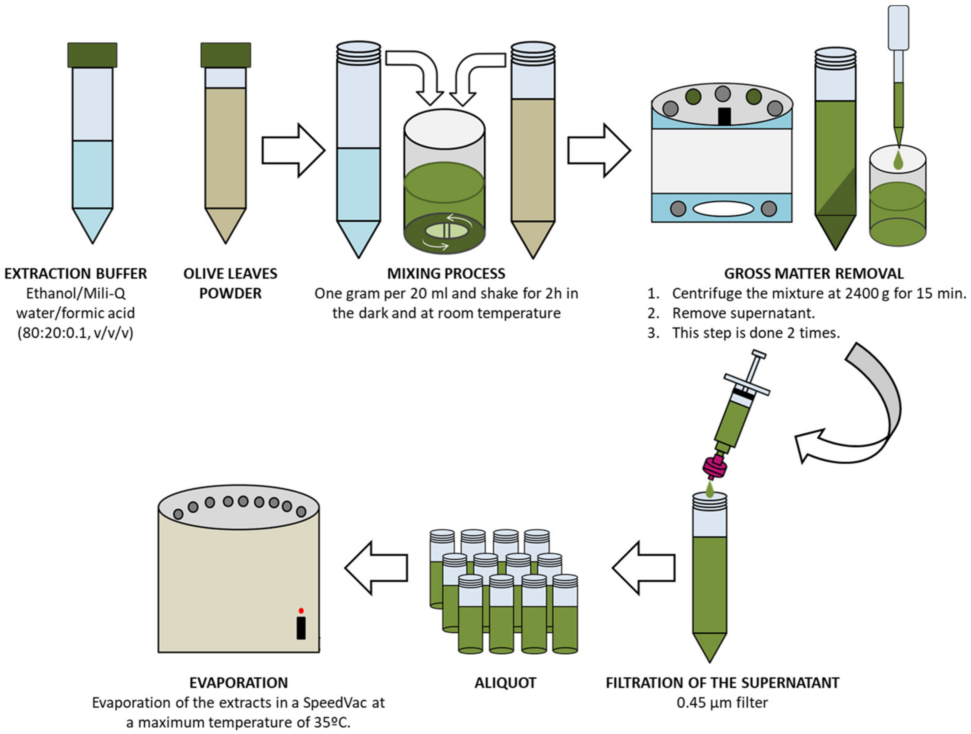 Antioxidants 12 01538 g001