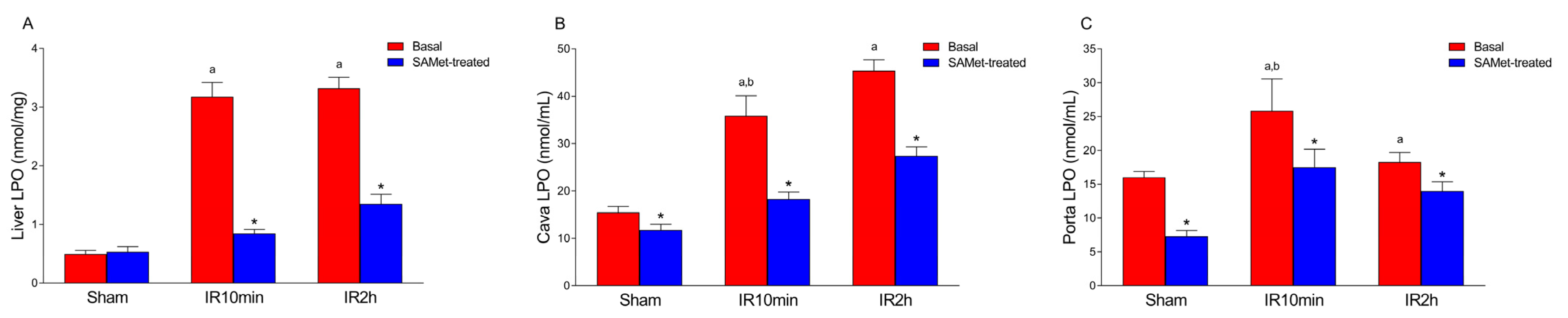 Antioxidants 12 01539 g003