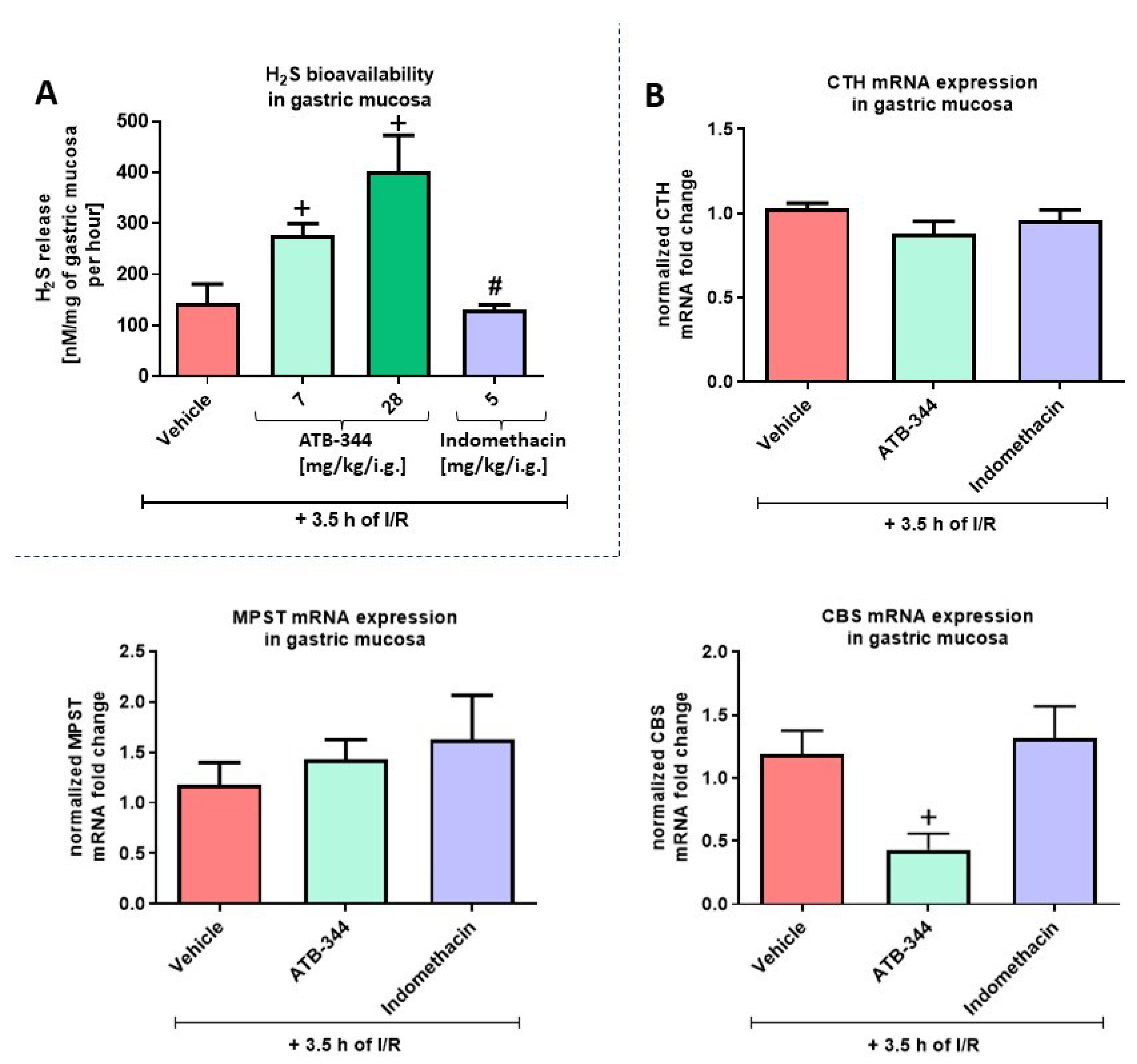 Antioxidants 12 01545 g002 Antioxidants 12 01545 g002