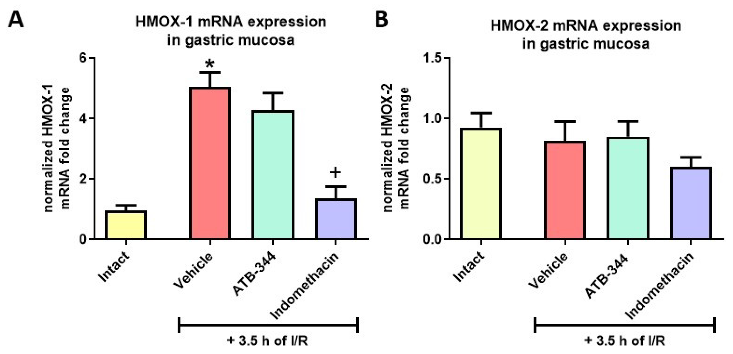 Antioxidants 12 01545 g006 Antioxidants 12 01545 g006