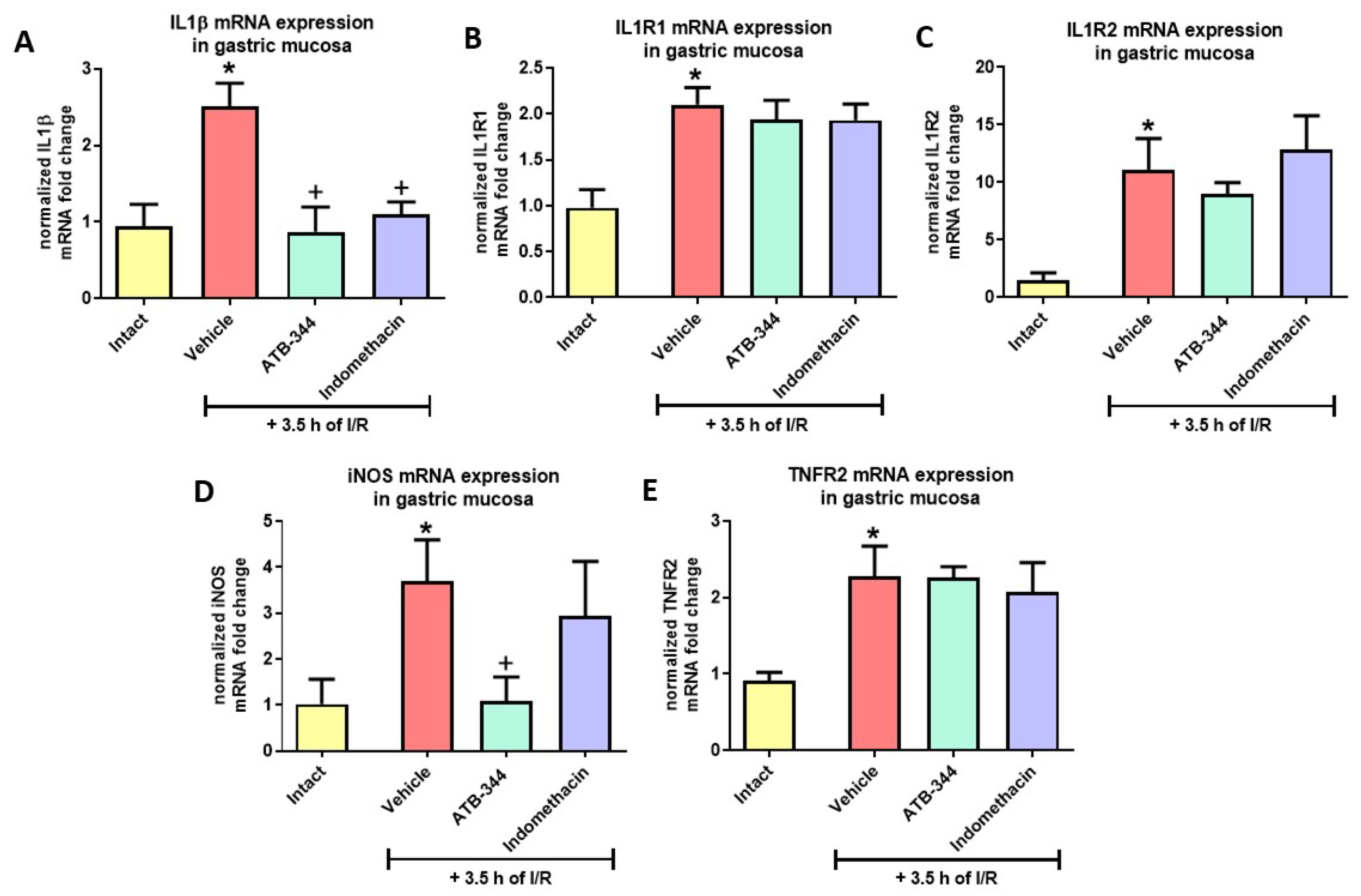Antioxidants 12 01545 g008 Antioxidants 12 01545 g008