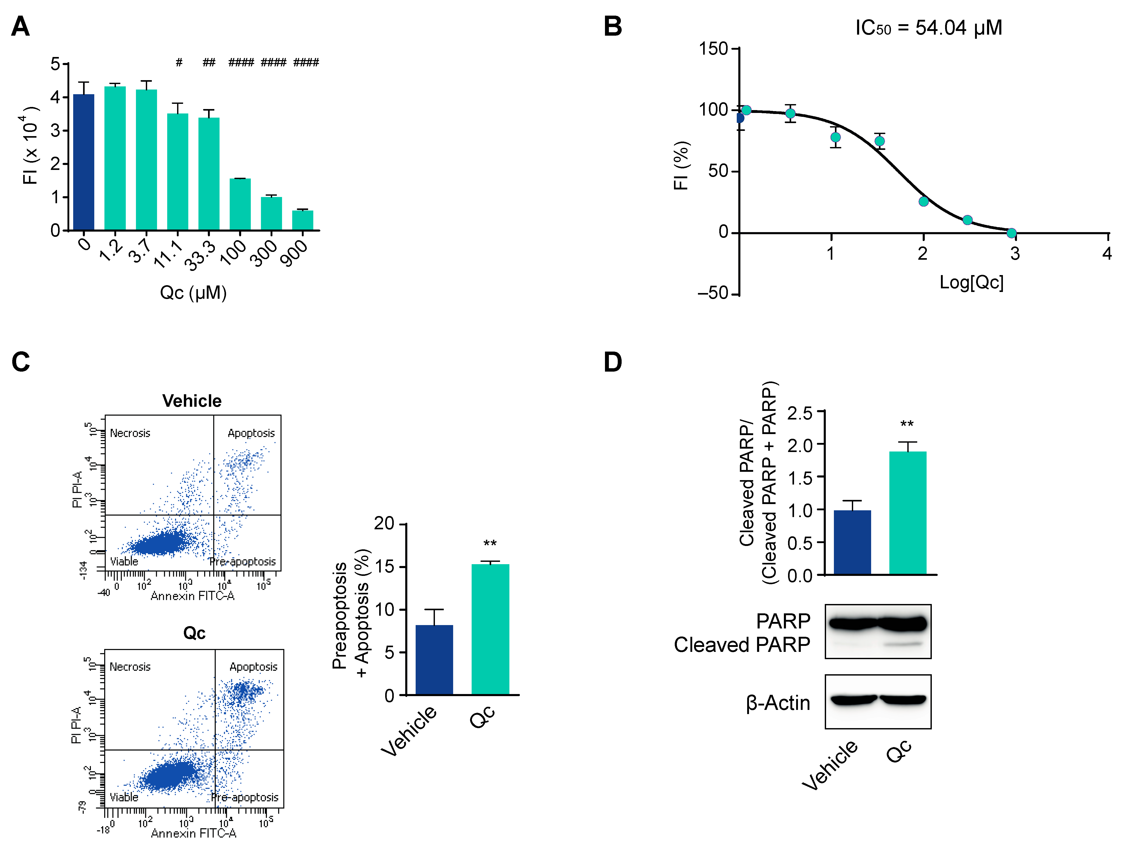 Antioxidants 12 01547 g001 Antioxidants 12 01547 g001