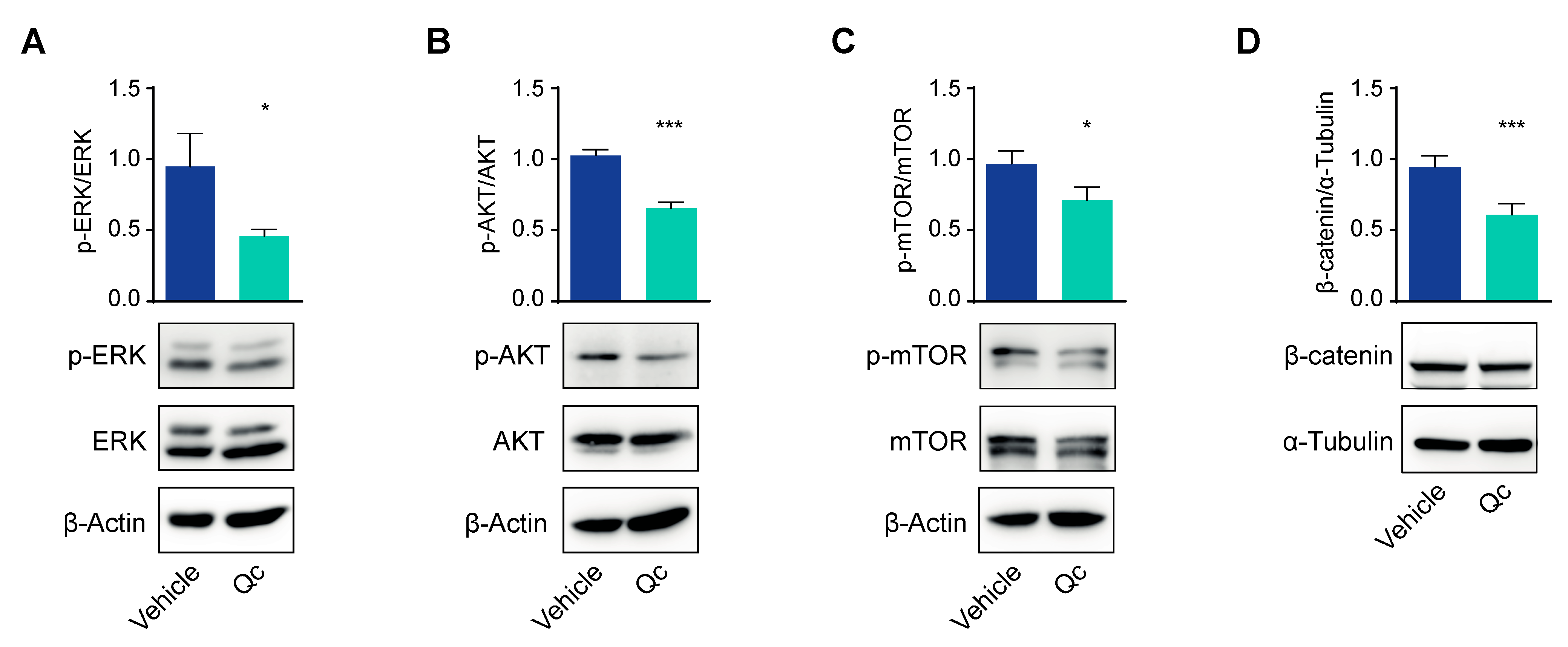 Antioxidants 12 01547 g002 Antioxidants 12 01547 g002
