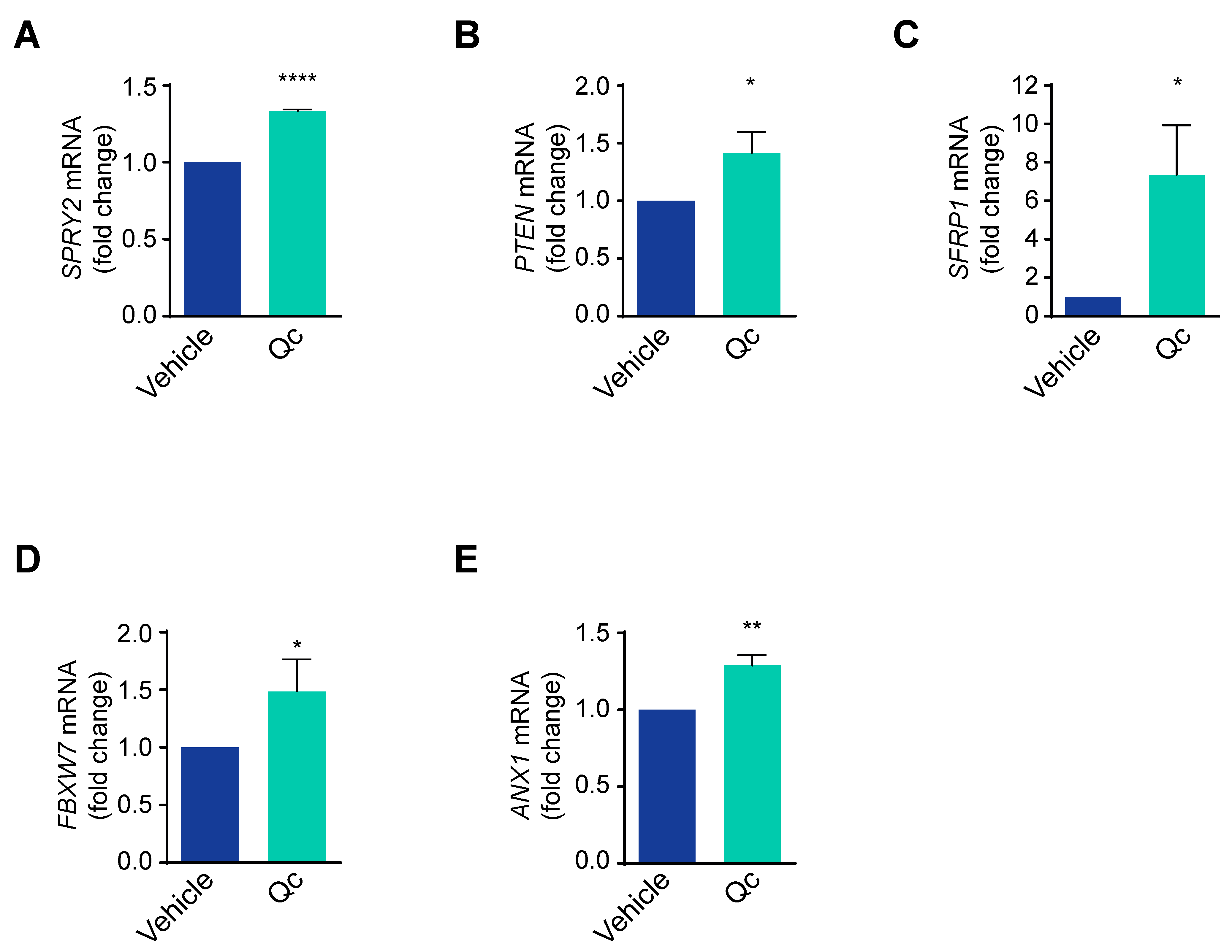 Antioxidants 12 01547 g003 Antioxidants 12 01547 g003