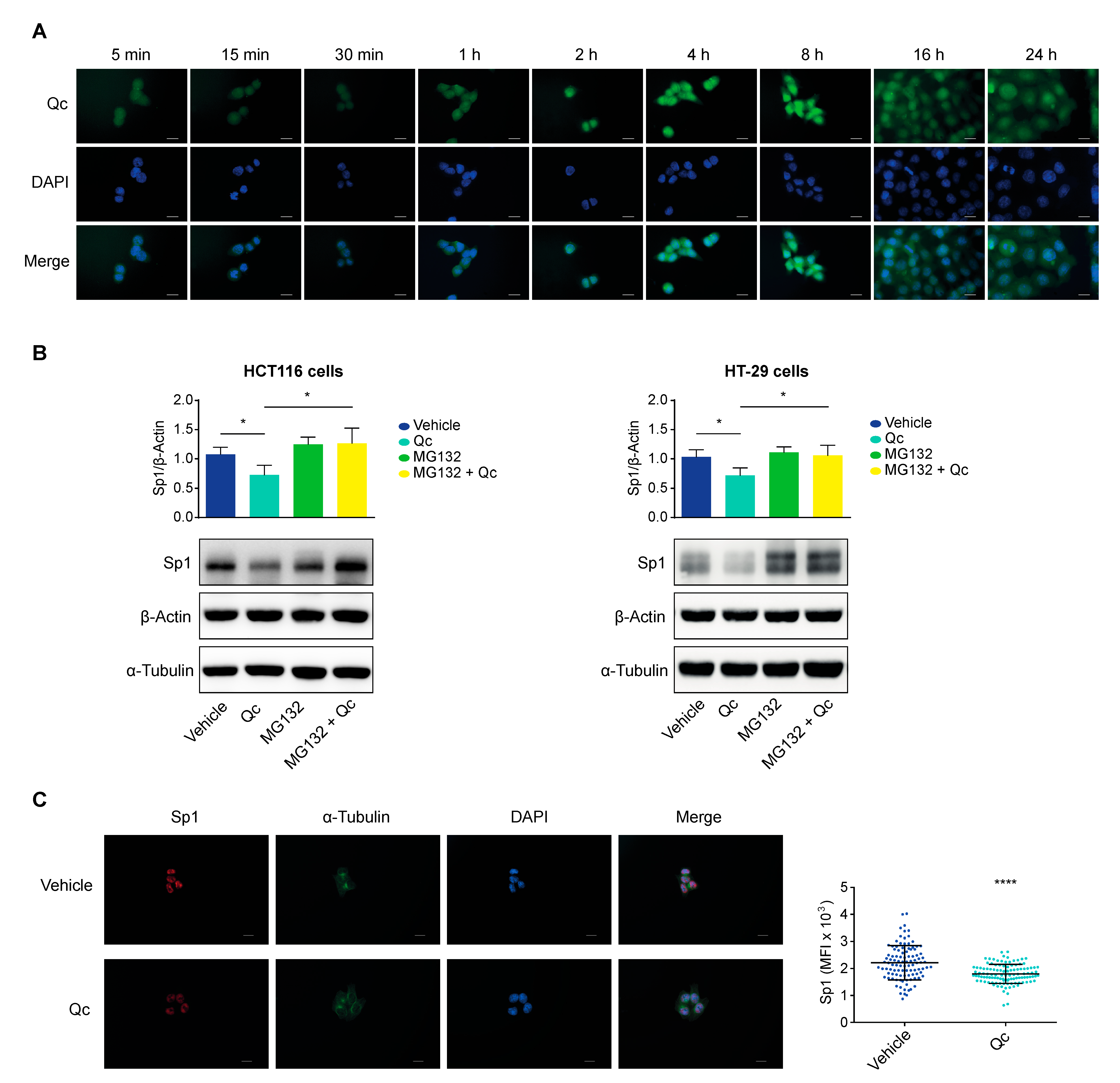 Antioxidants 12 01547 g006 Antioxidants 12 01547 g006