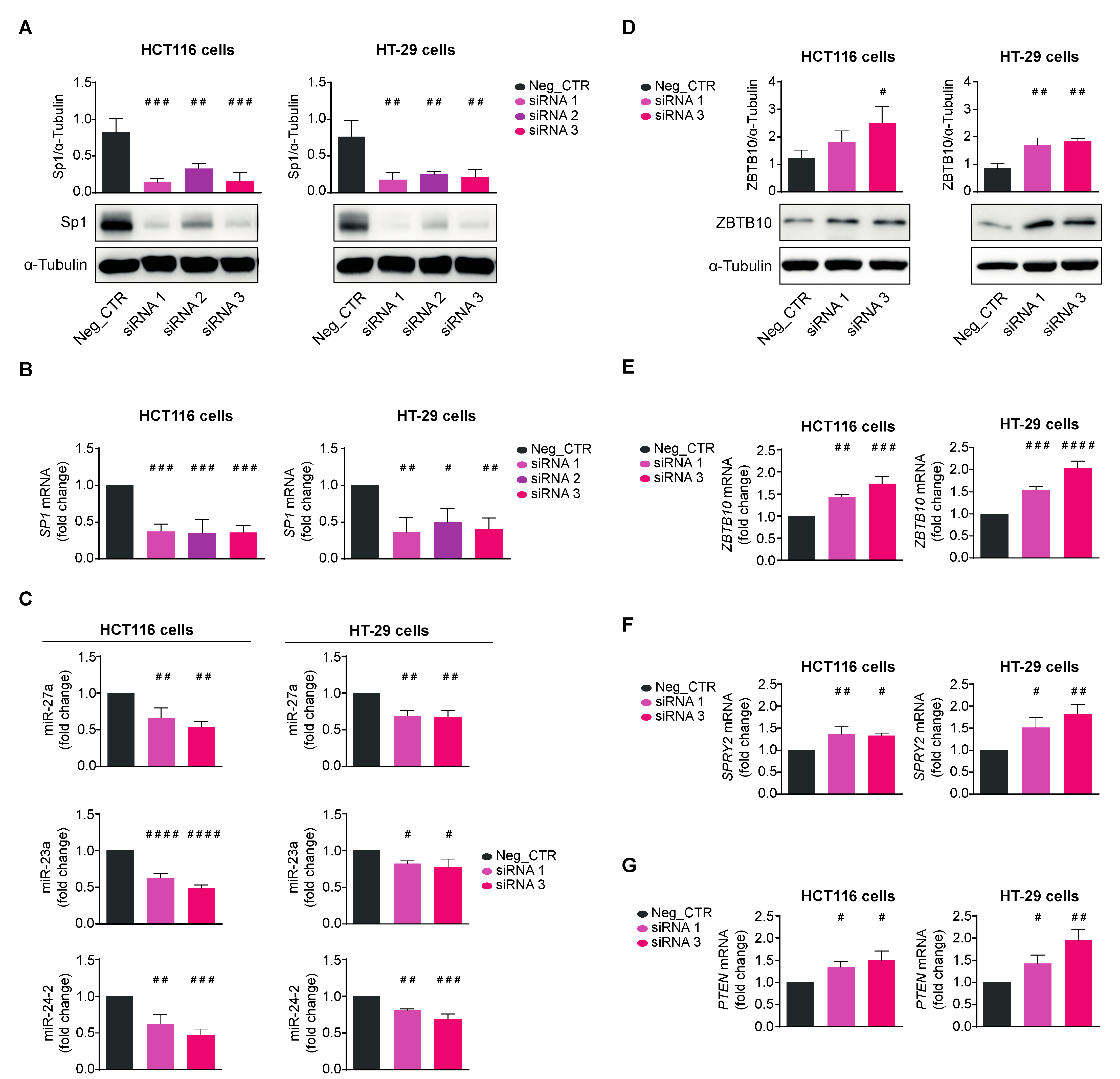 Antioxidants 12 01547 g007 Antioxidants 12 01547 g007