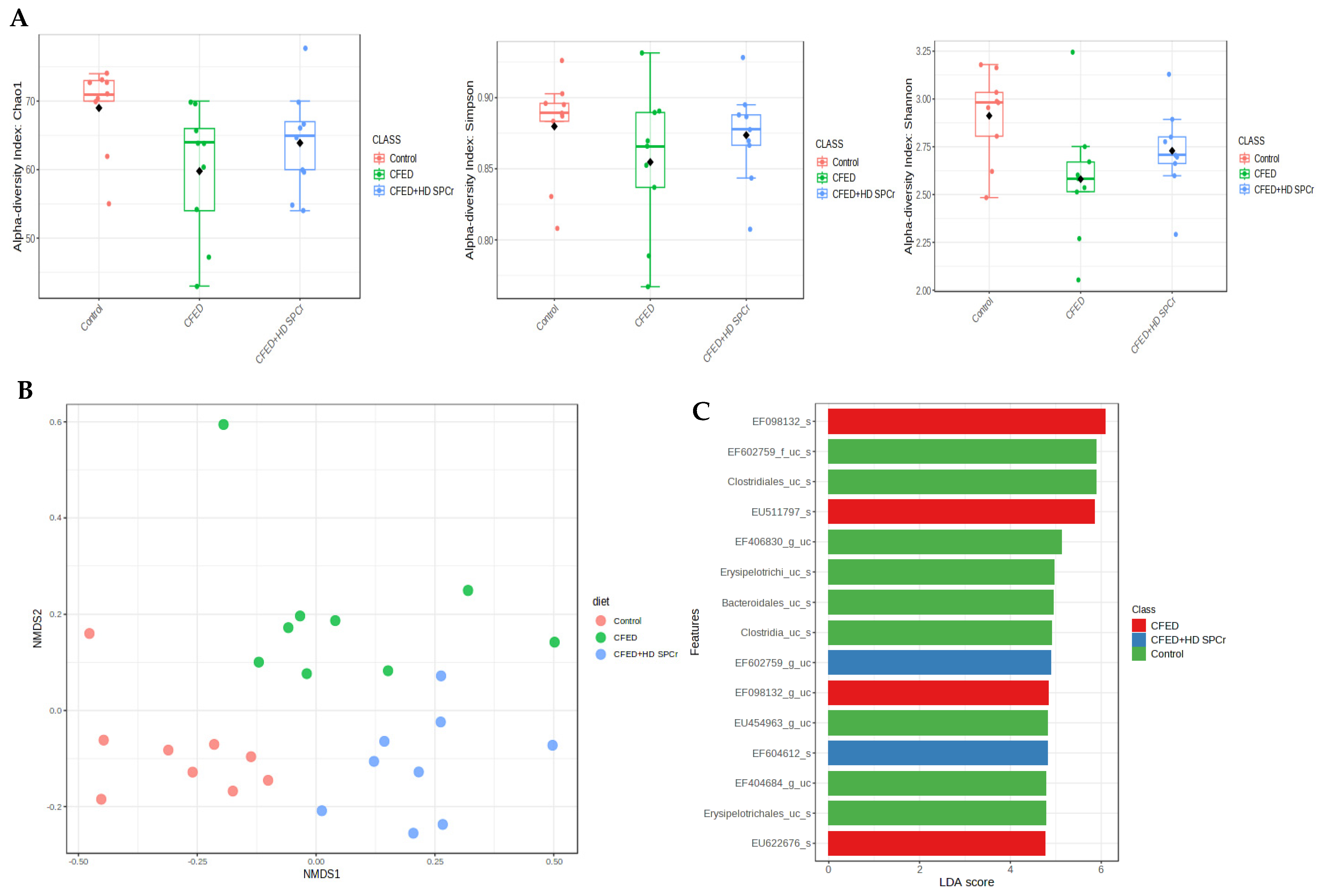 Antioxidants 12 01555 g007 Antioxidants 12 01555 g007