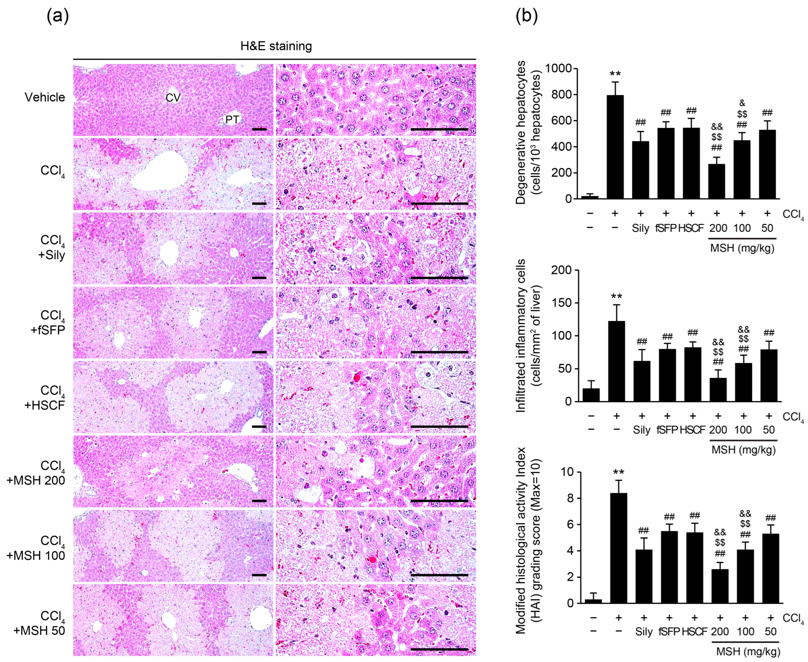 Antioxidants 12 01556 g002 Antioxidants 12 01556 g002