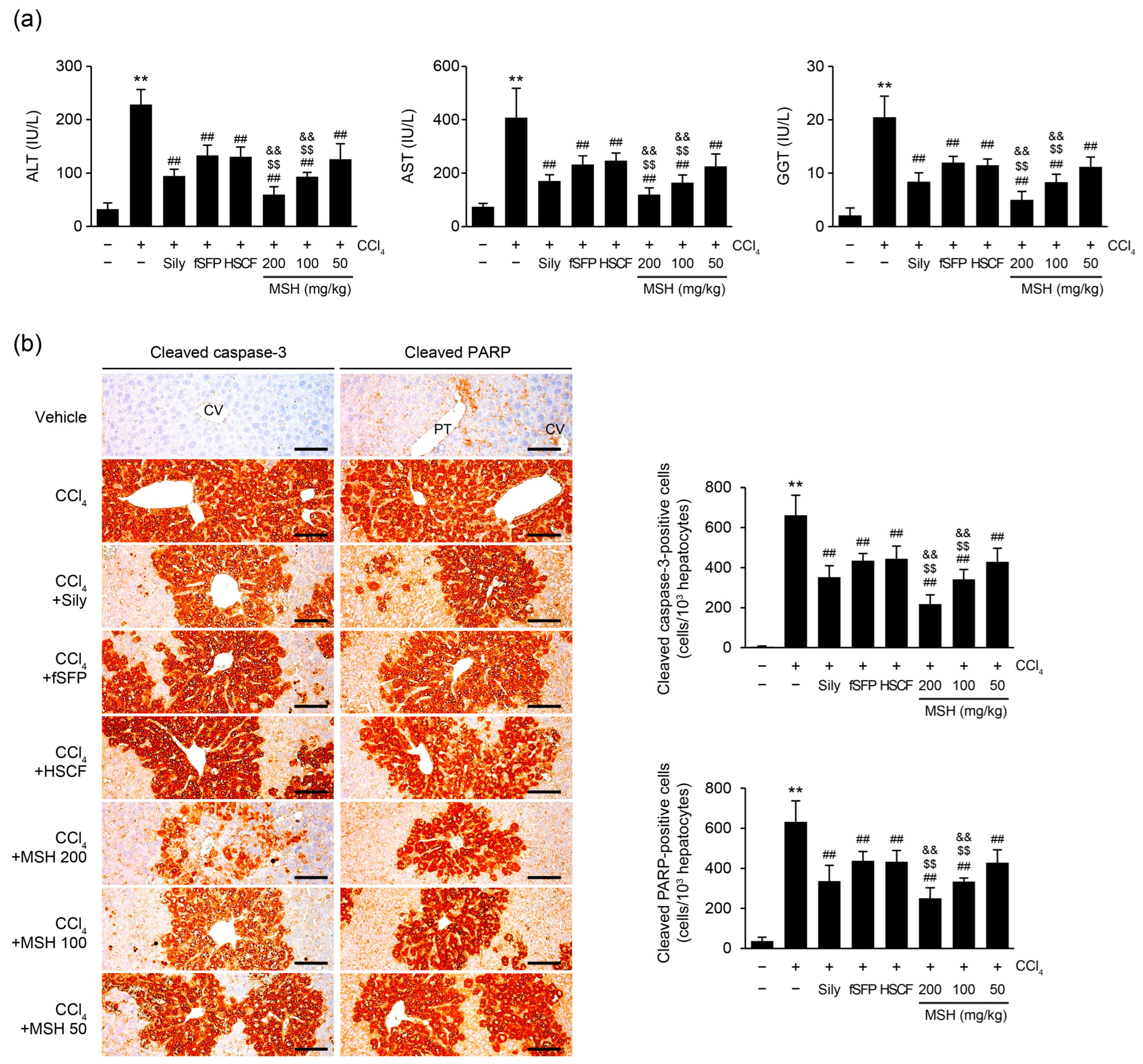 Antioxidants 12 01556 g003 Antioxidants 12 01556 g003