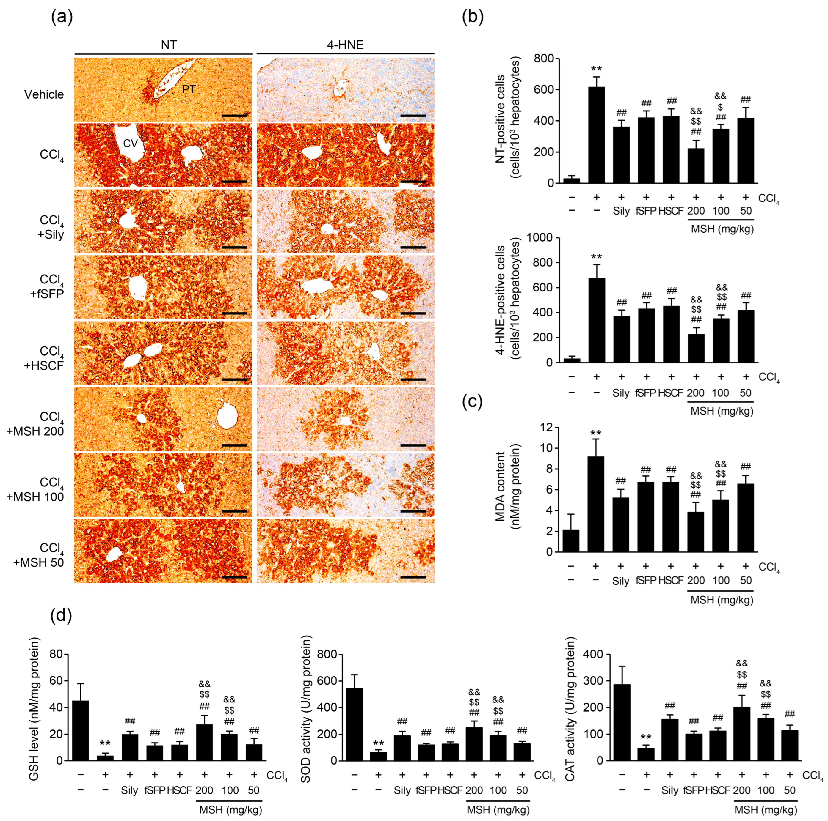 Antioxidants 12 01556 g004 Antioxidants 12 01556 g004