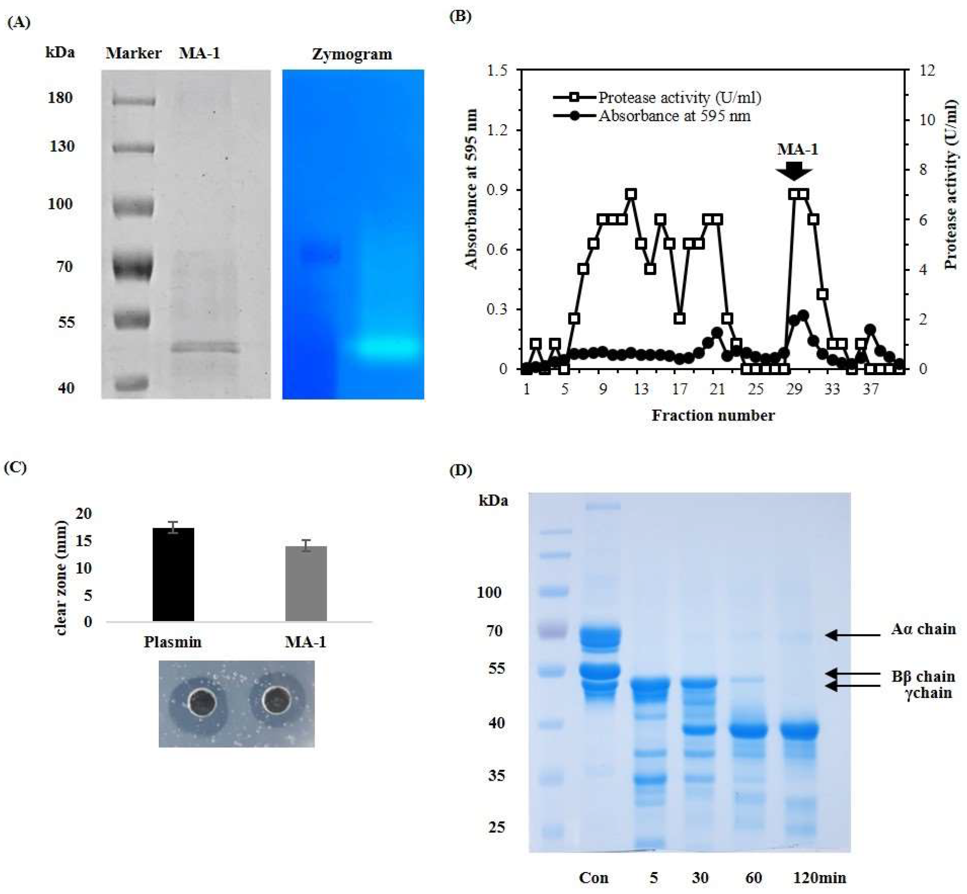 Antioxidants 12 01558 g001 Antioxidants 12 01558 g001