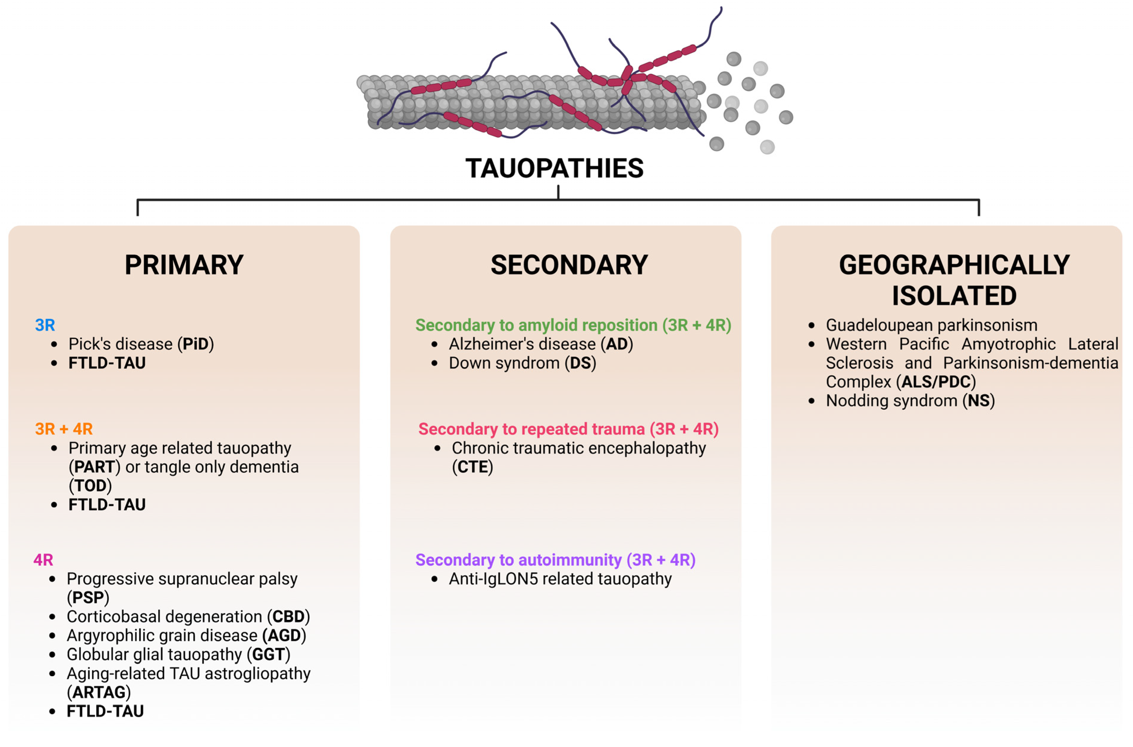 Antioxidants 12 01564 g005 Antioxidants 12 01564 g005