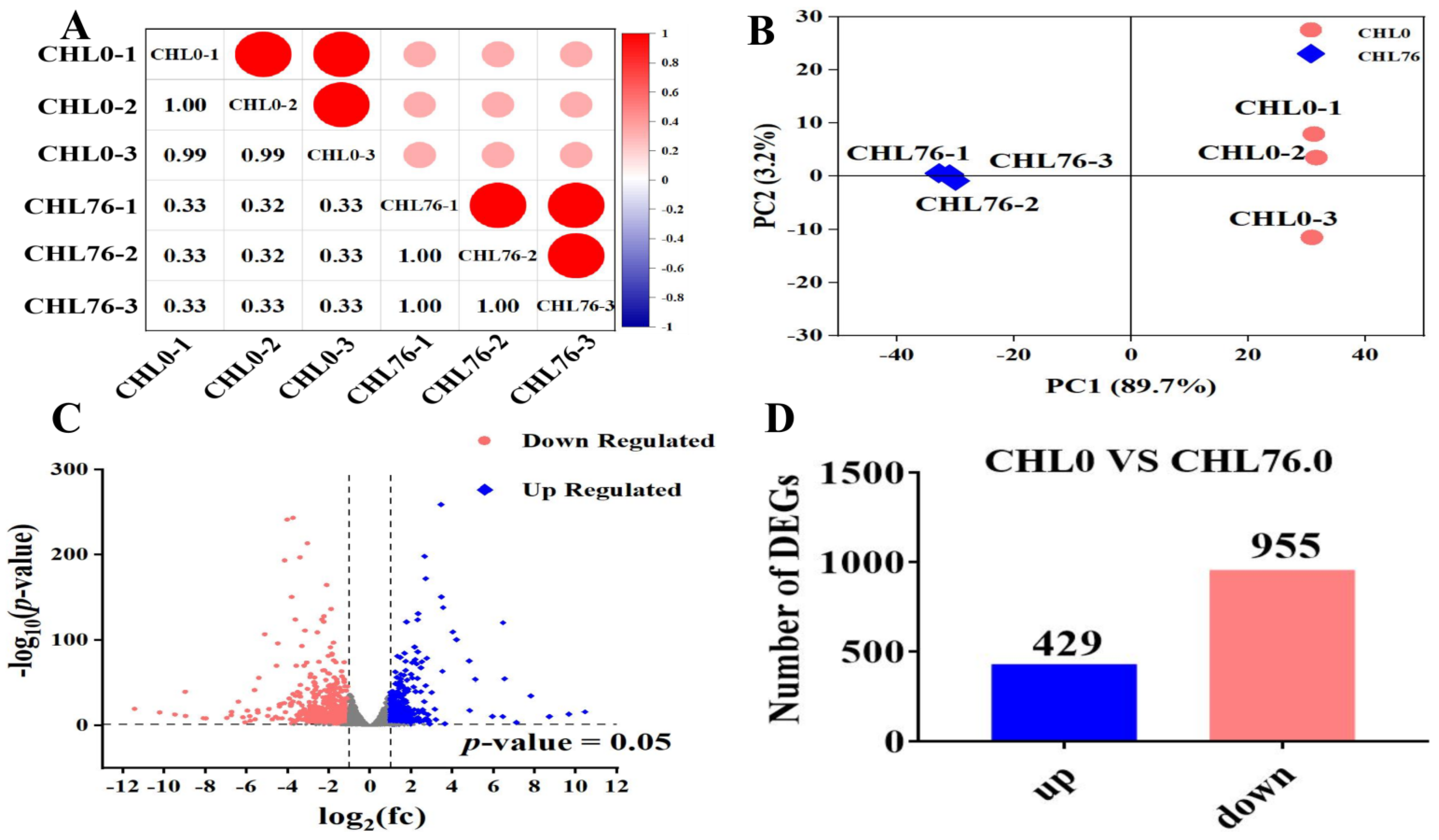 33様サイズS Therapeutic Potential of Hydrogen Sulfide in Ischemia and