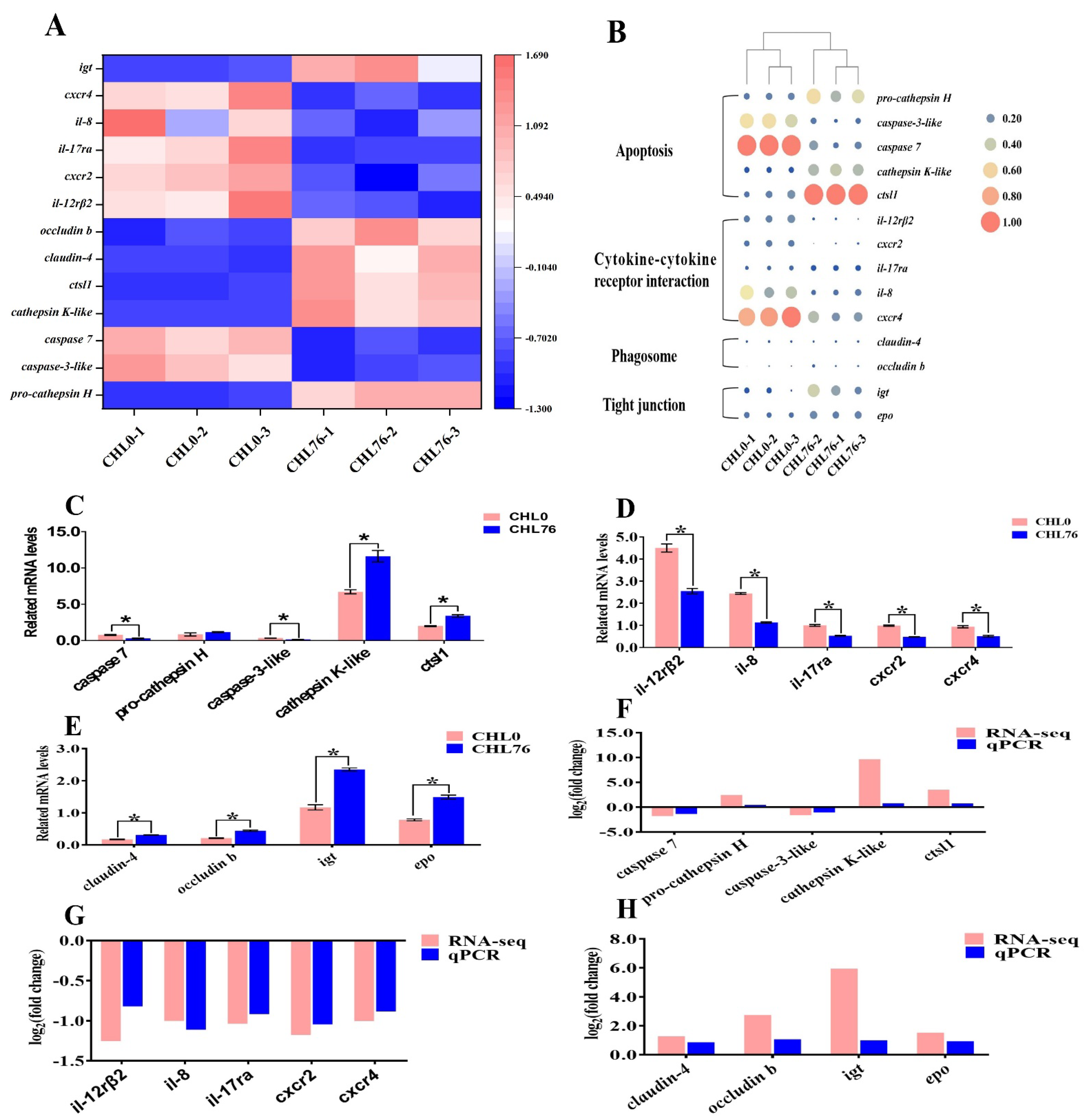 Antioxidants 12 01565 g004 Antioxidants 12 01565 g004