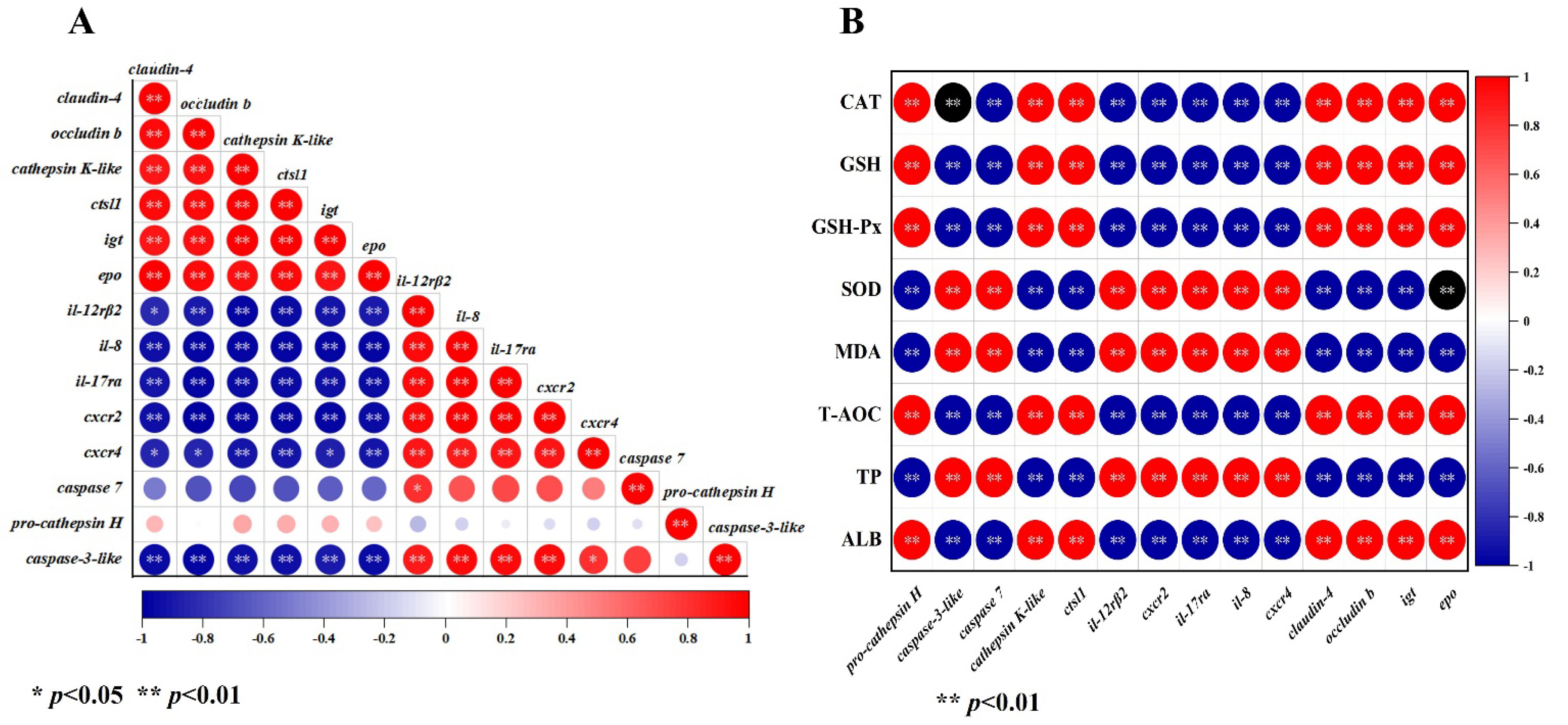 Antioxidants 12 01565 g005 Antioxidants 12 01565 g005