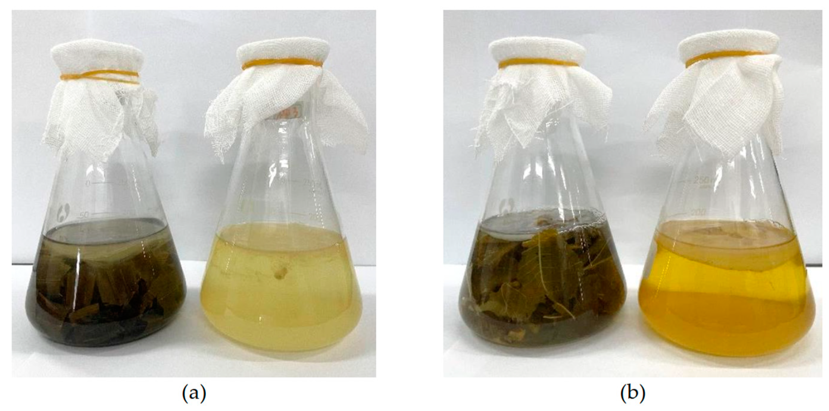 Antioxidants 12 01573 g001