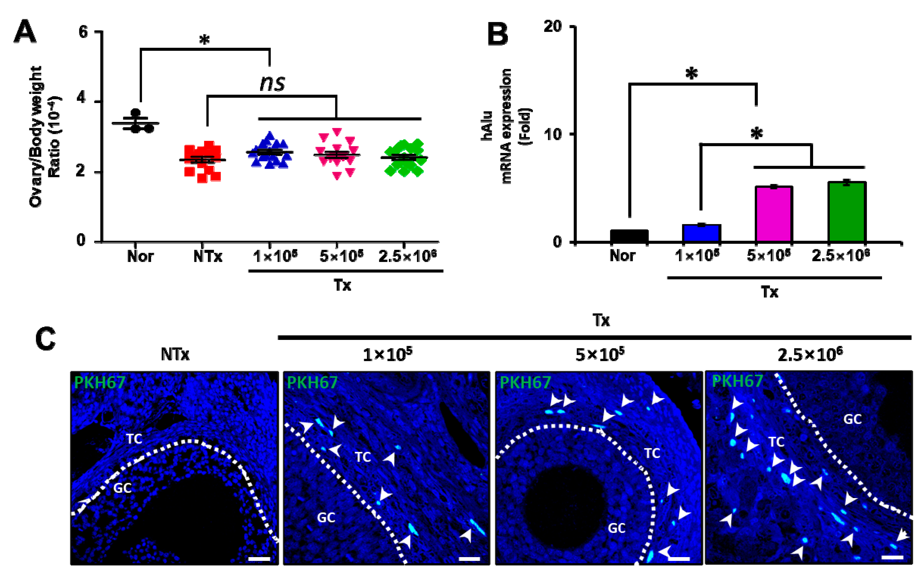 Antioxidants 12 01575 g001 Antioxidants 12 01575 g001