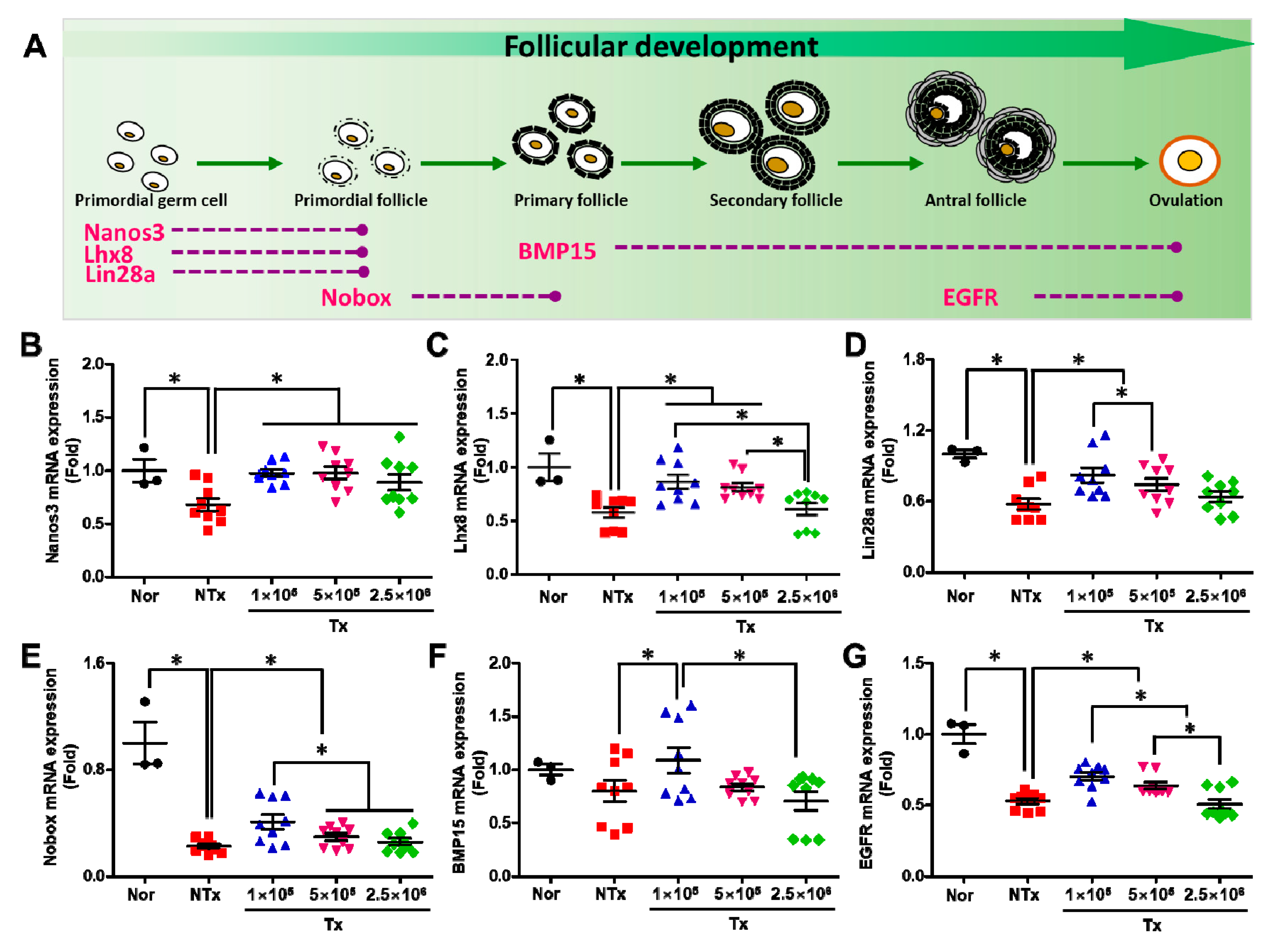 Antioxidants 12 01575 g002 Antioxidants 12 01575 g002