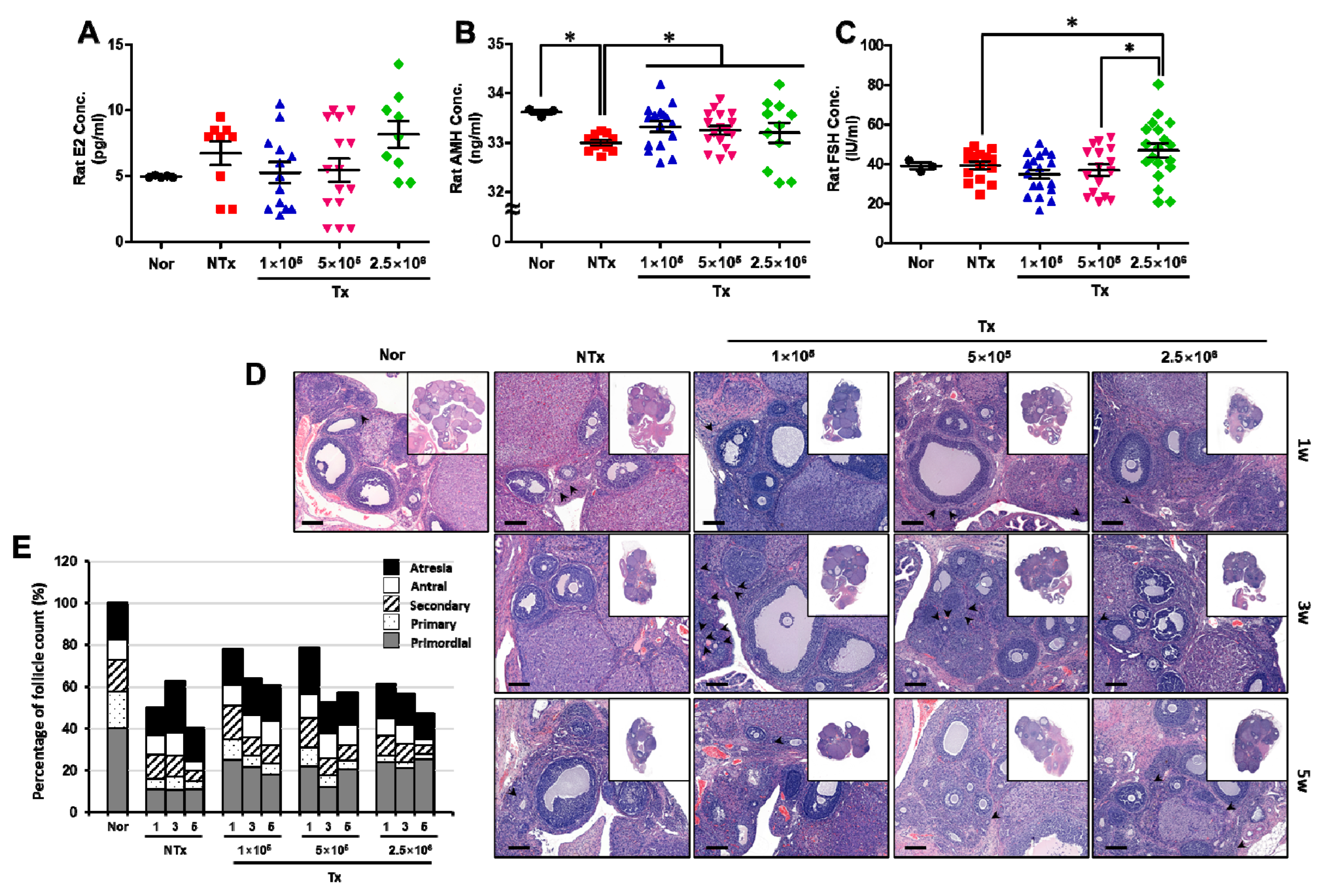 Antioxidants 12 01575 g003 Antioxidants 12 01575 g003