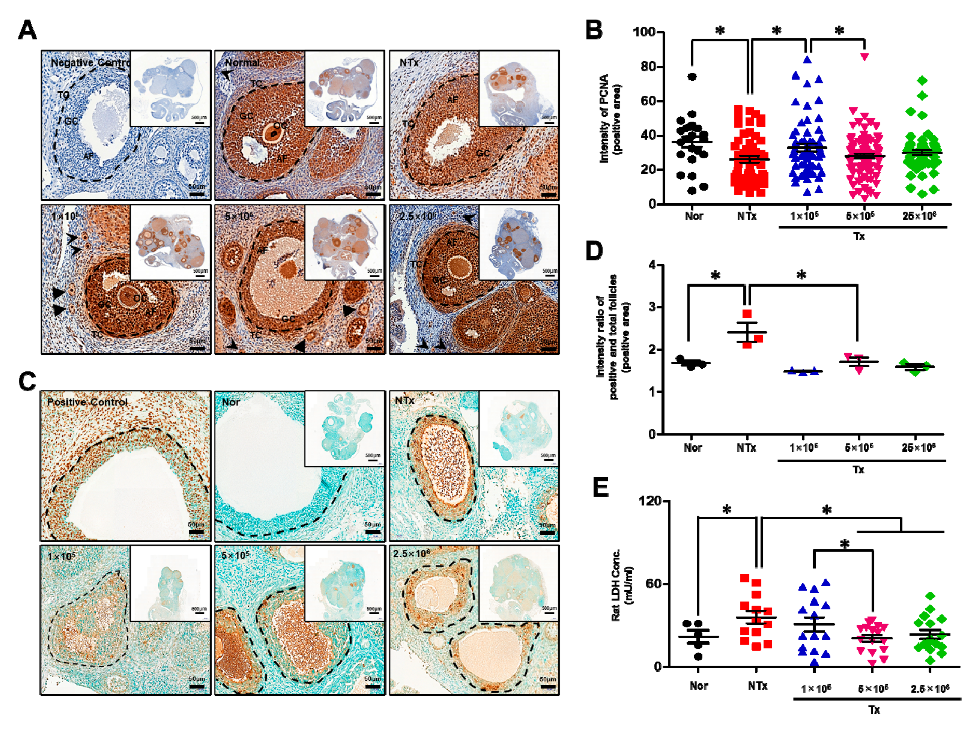 Antioxidants 12 01575 g004 Antioxidants 12 01575 g004
