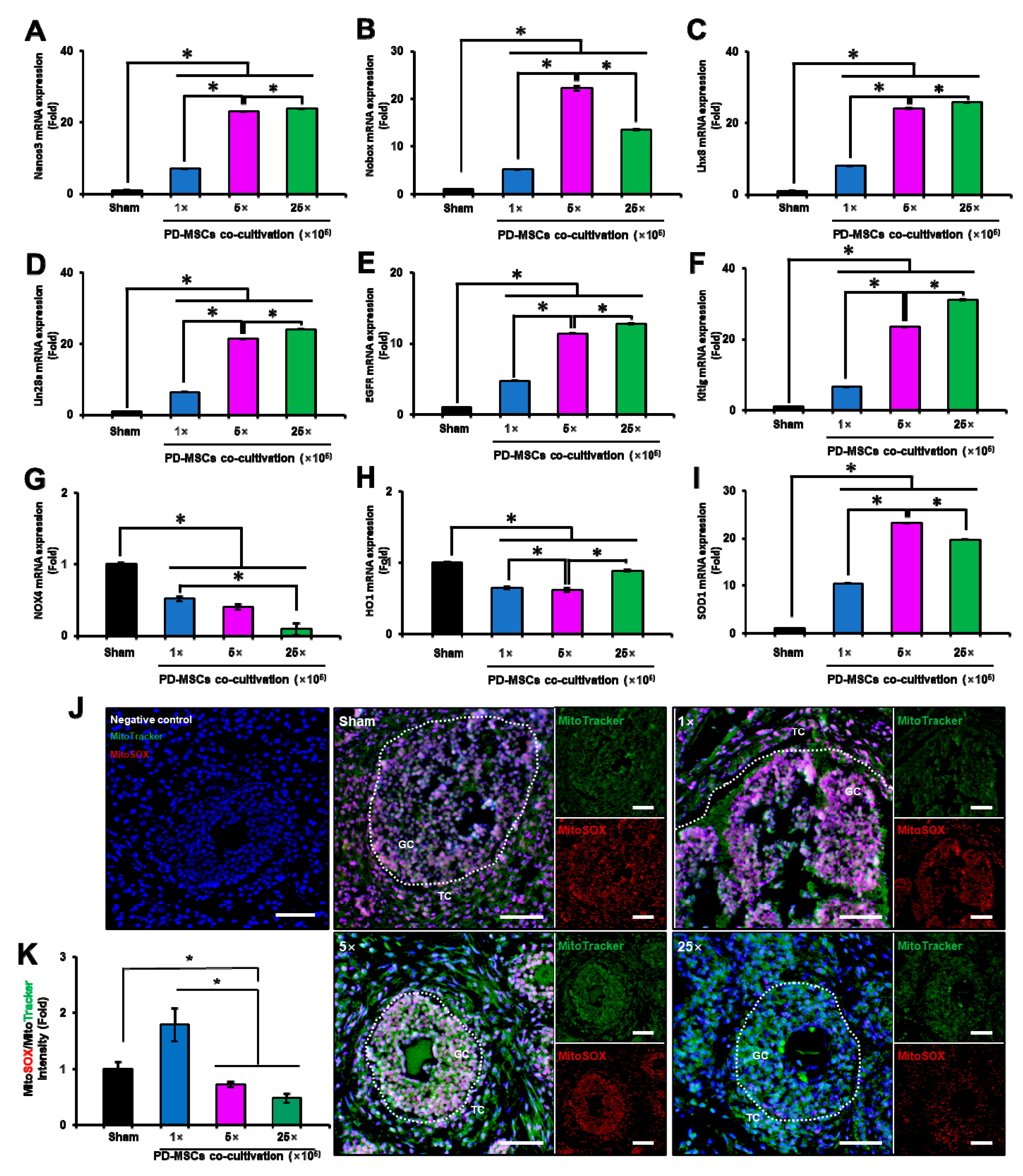 Antioxidants 12 01575 g007 Antioxidants 12 01575 g007